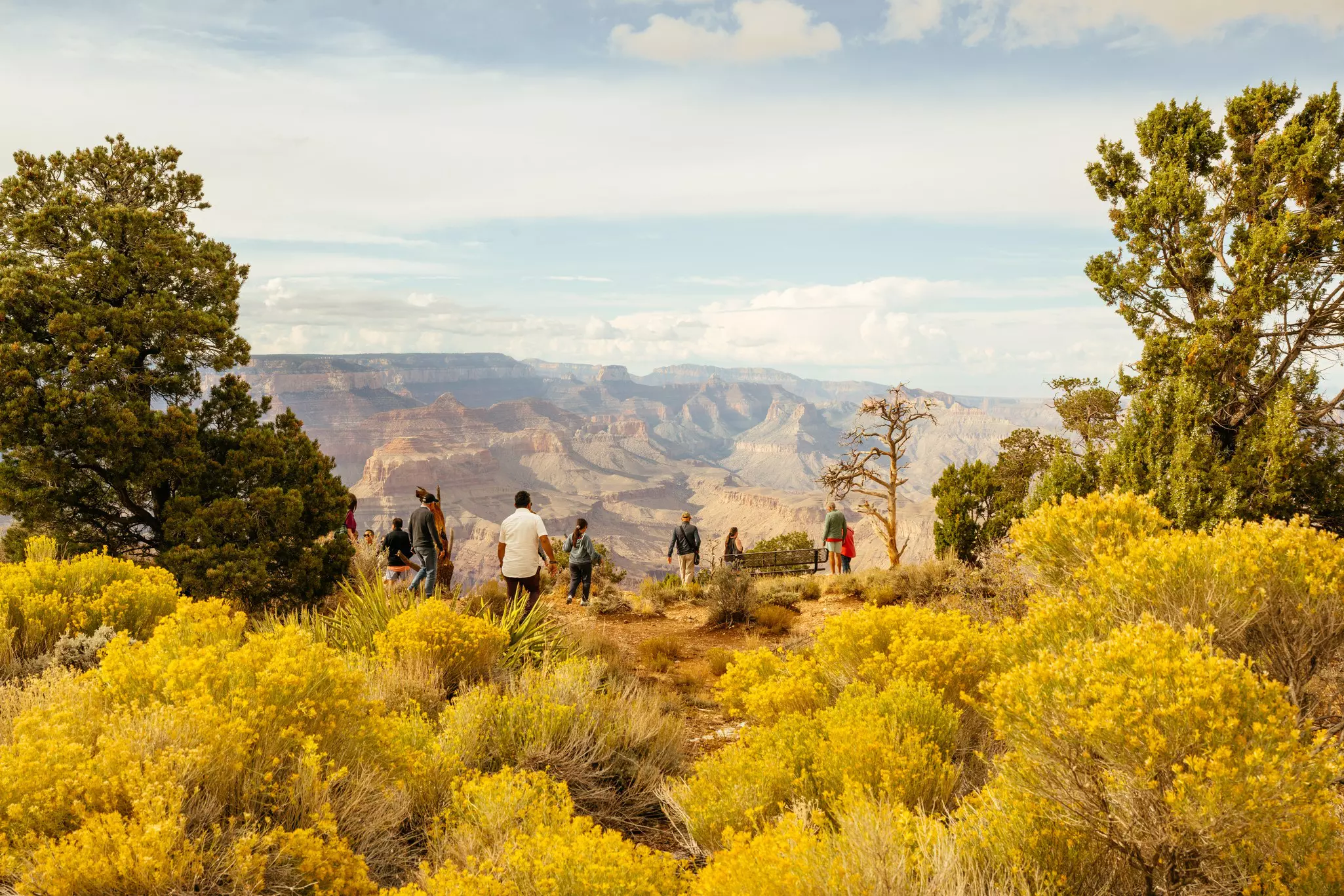 People at viewpoint over the rim of a vast red-rock canyon.