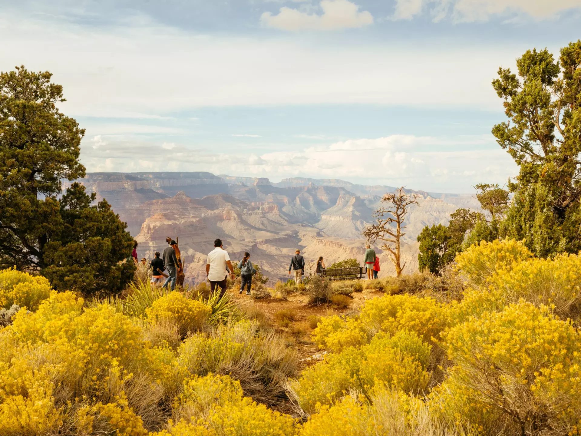 People at viewpoint over the rim of a vast red-rock canyon.