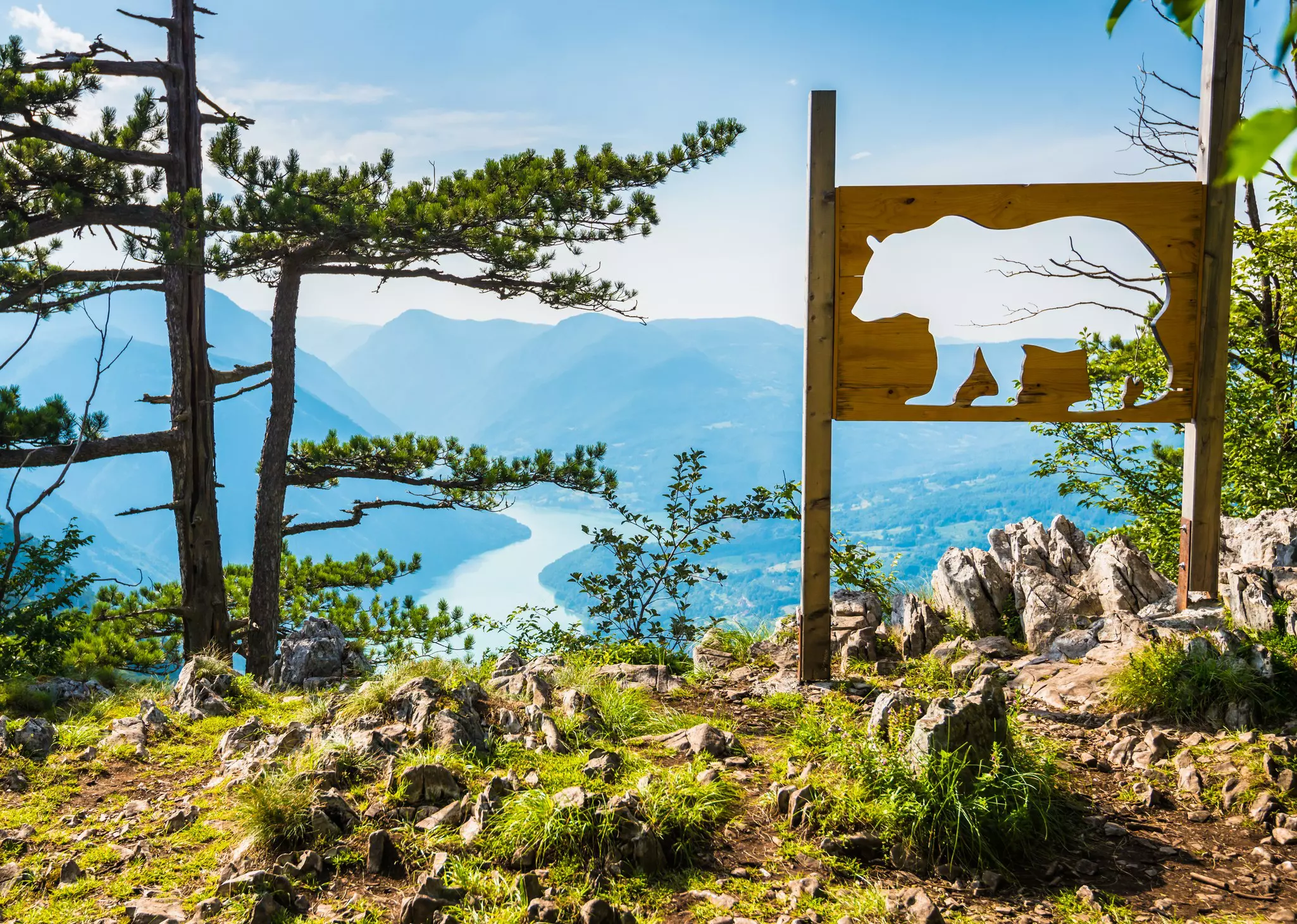 A viewpoint looking down towards a river gorge, with a large sign of a cut-out in the shape of a bear.