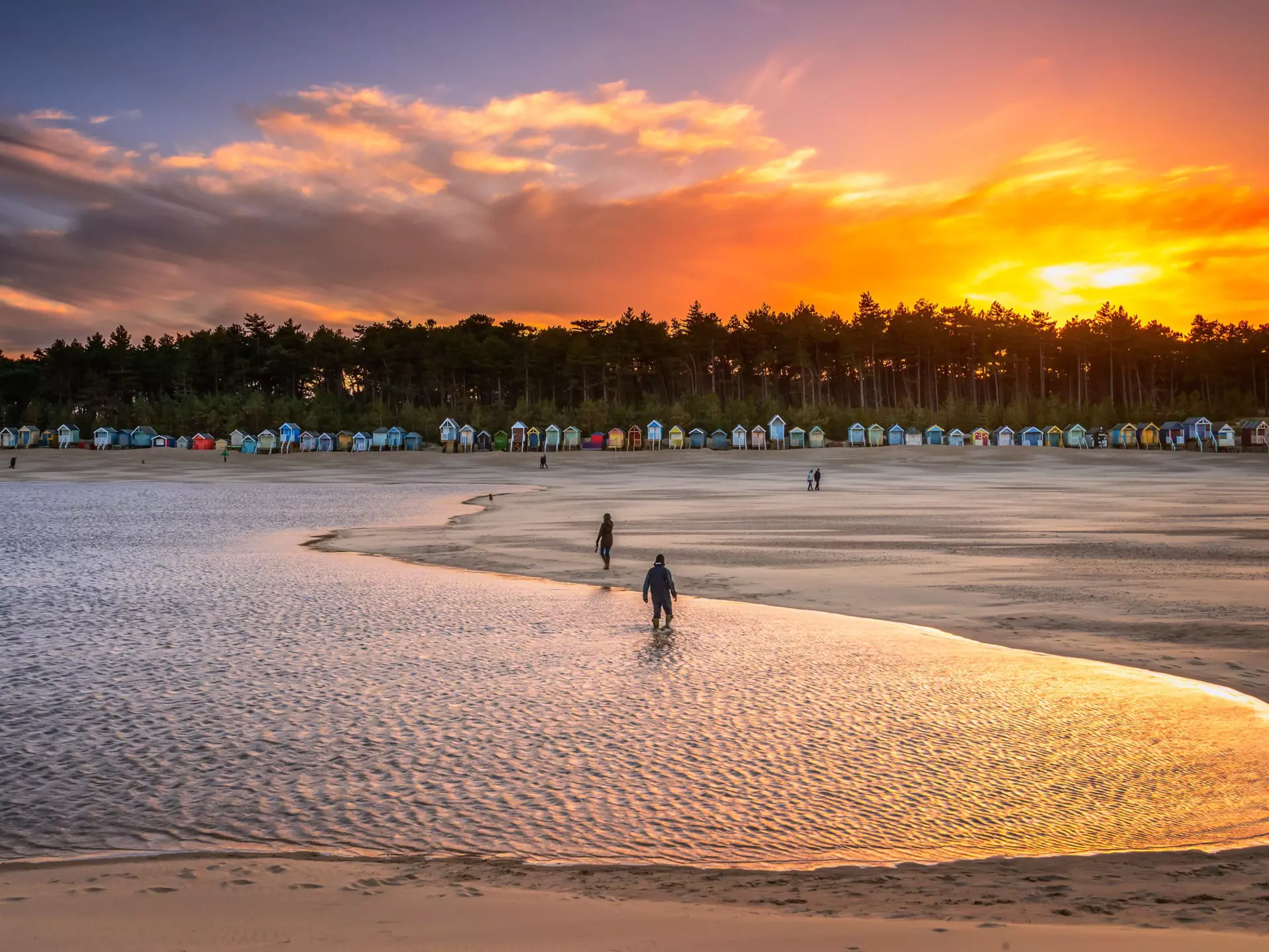 With its wildlife-rich marshes, atmospheric coastlines and historic cities, East Anglia delivers a range of memorable travel experiences © stevendocwra / Getty Images