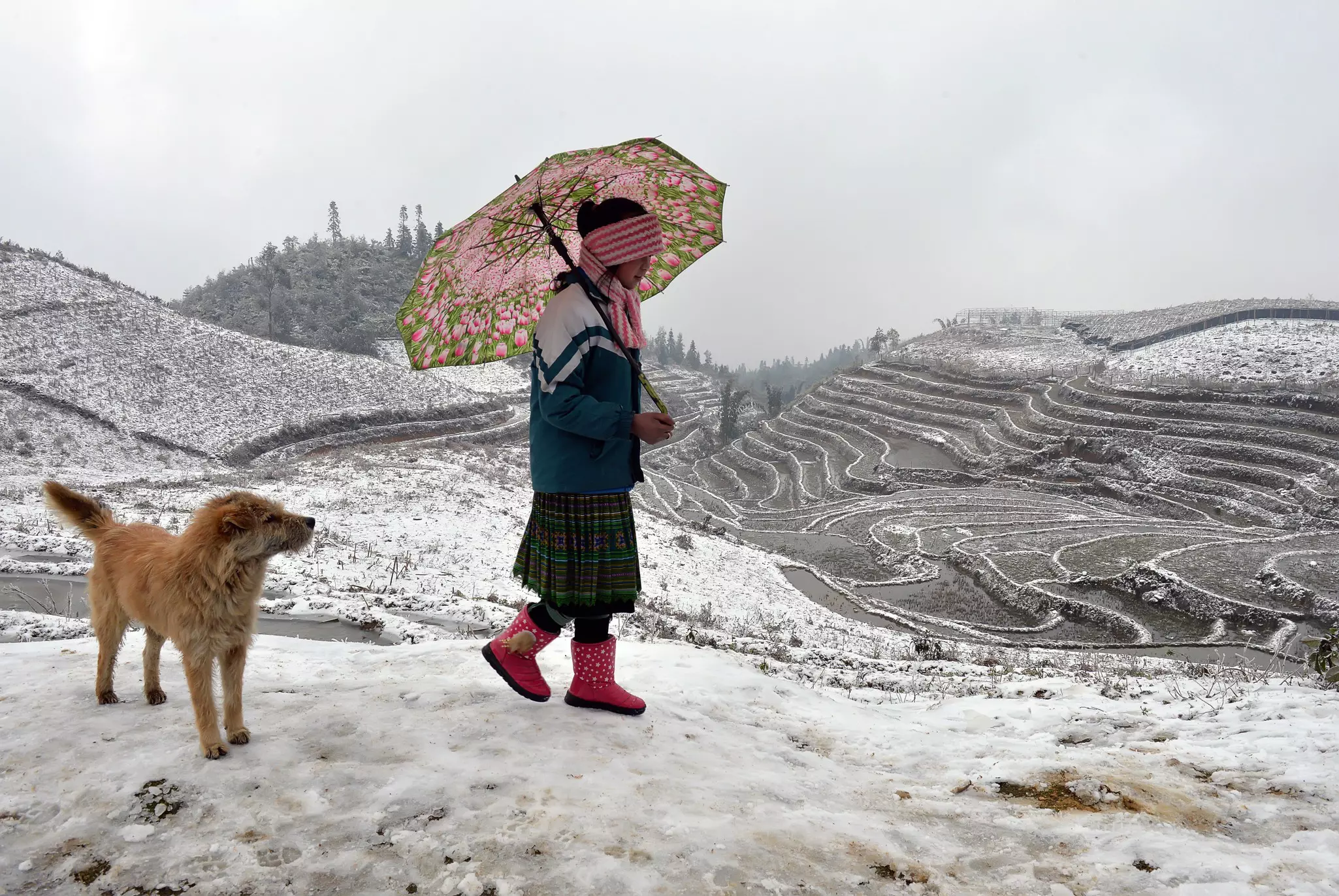 A woman with an umbrella walks through snowy mountains with a dog