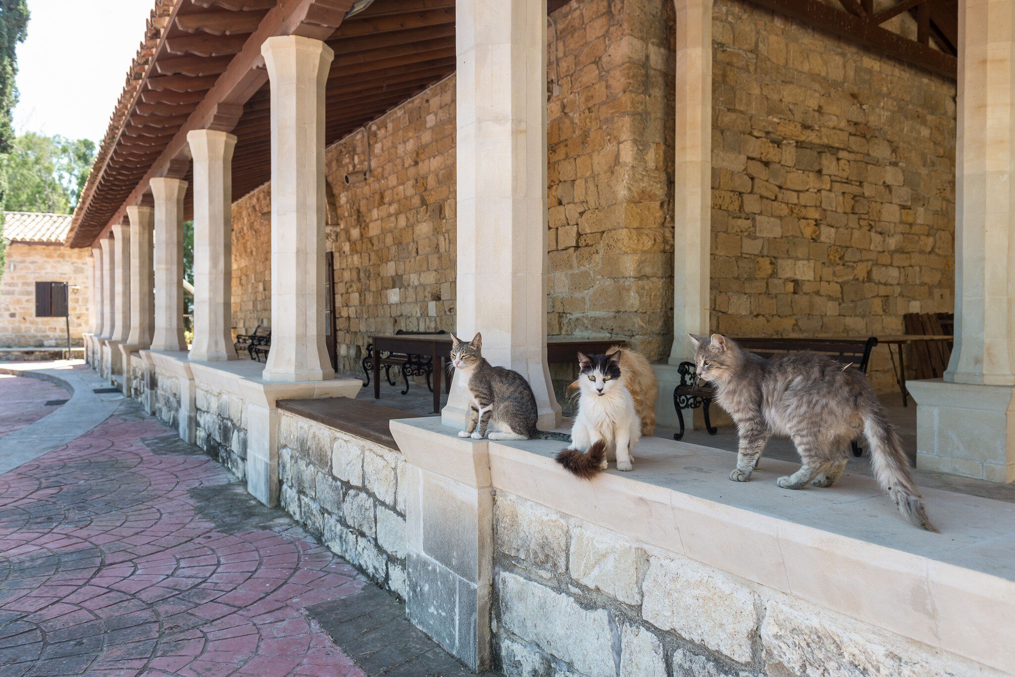 Holy Monastery of St Nicholas of the Cats on Cyprus; Shutterstock ID 1399043288;
