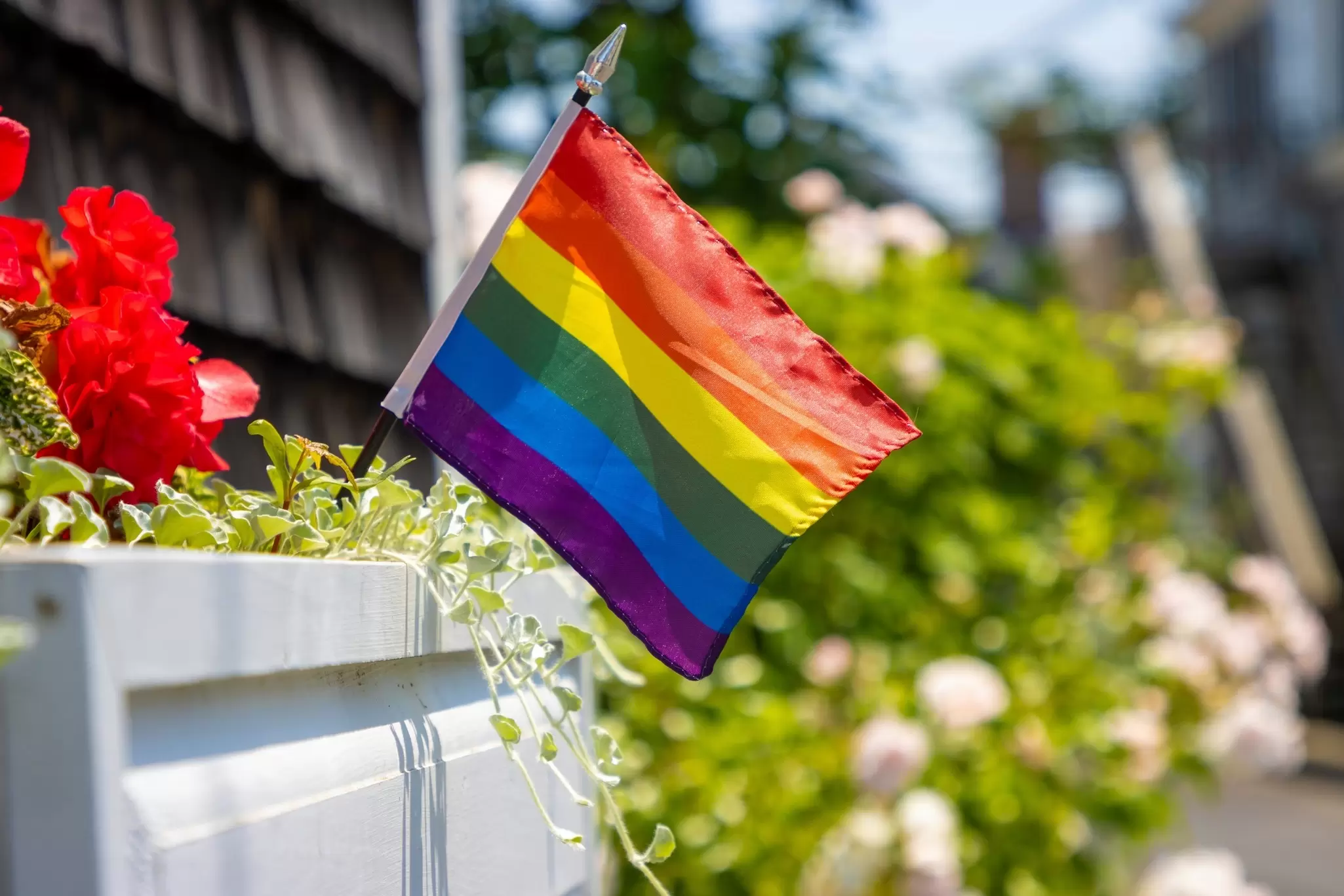 A small town flying the Pride flag. Ajax9/Shutterstock