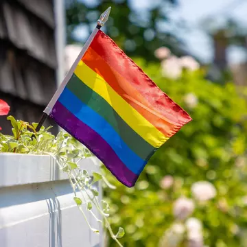 A small town flying the Pride flag. Ajax9/Shutterstock