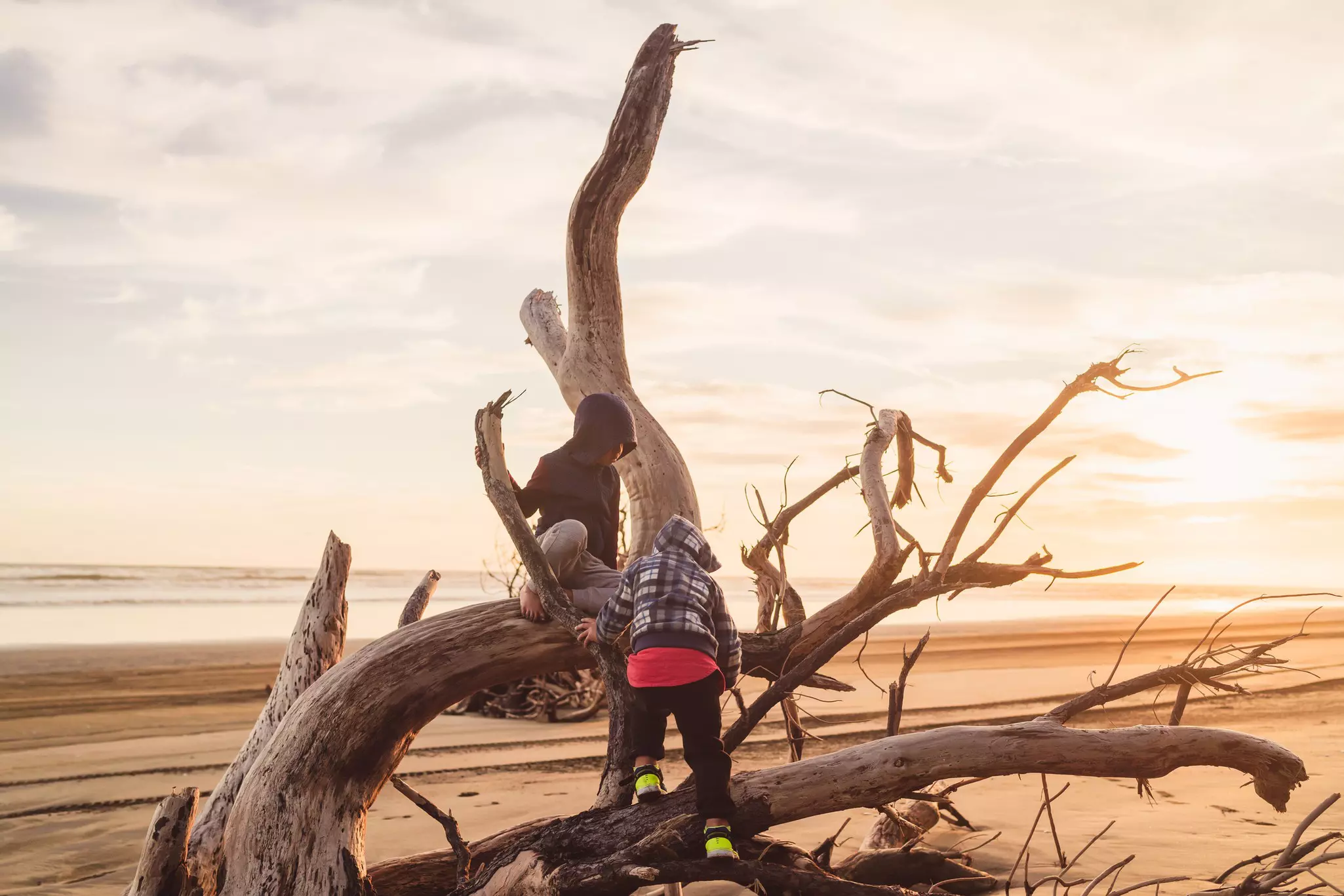 Muriwai Beach, Auckland is great for little ones © Nazar Abbas Photography / Getty Images