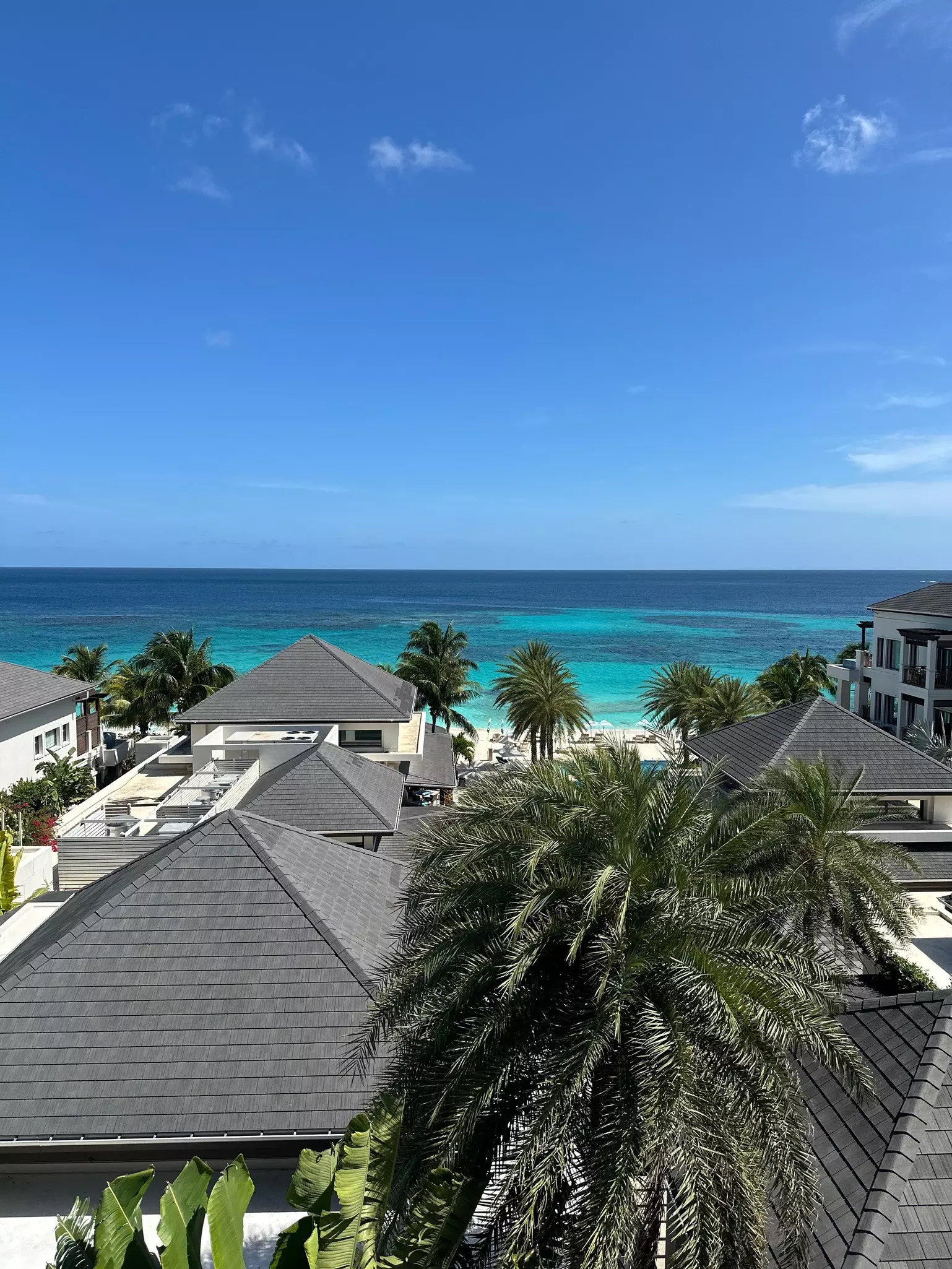 Beach view from a beach house balcony. The tops of palm trees and other