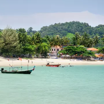 A palm tree-lined beach with several colorful fishing boats moored near the shore.