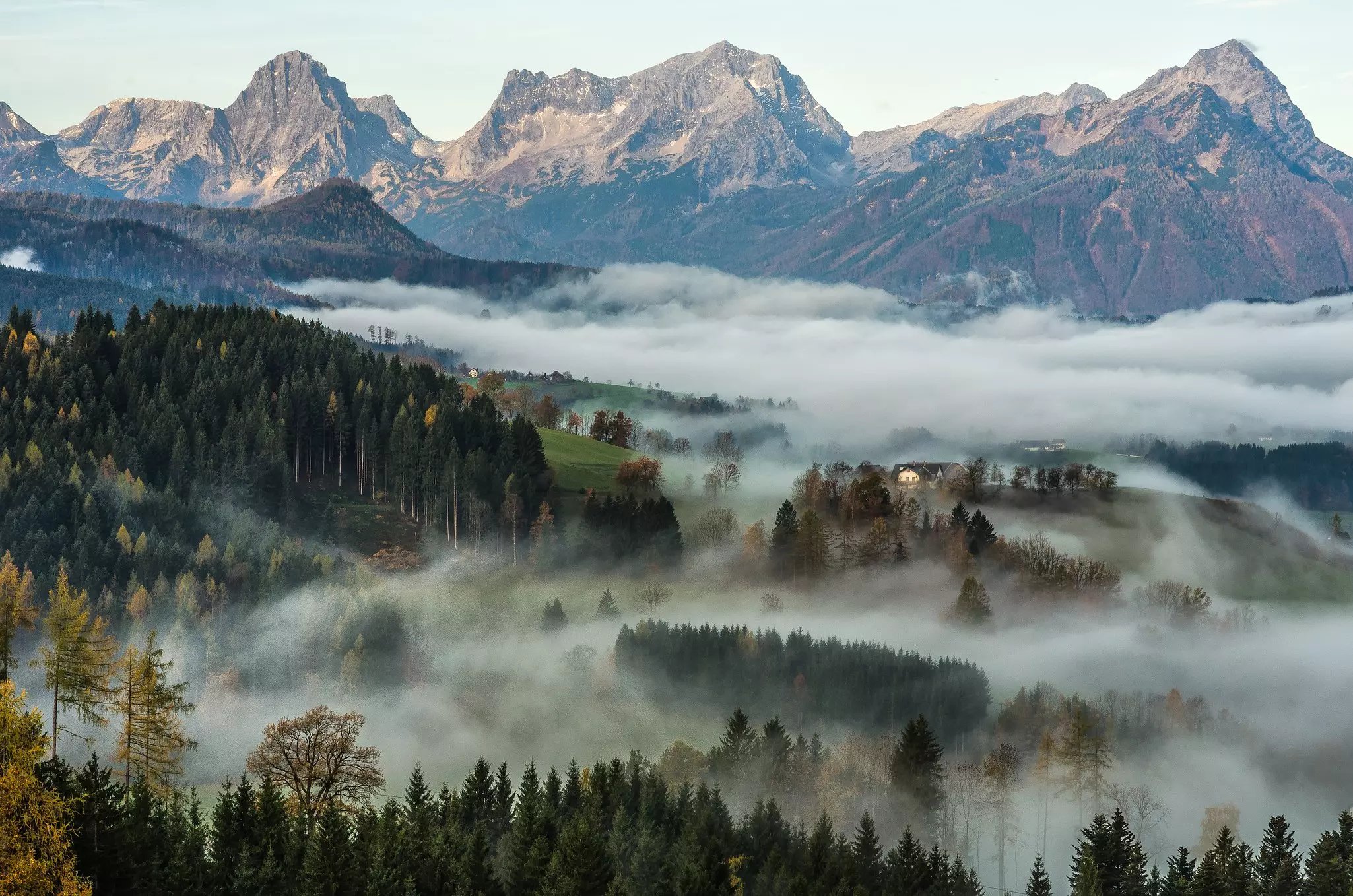 Views over the forests of Kalkalpen National Park