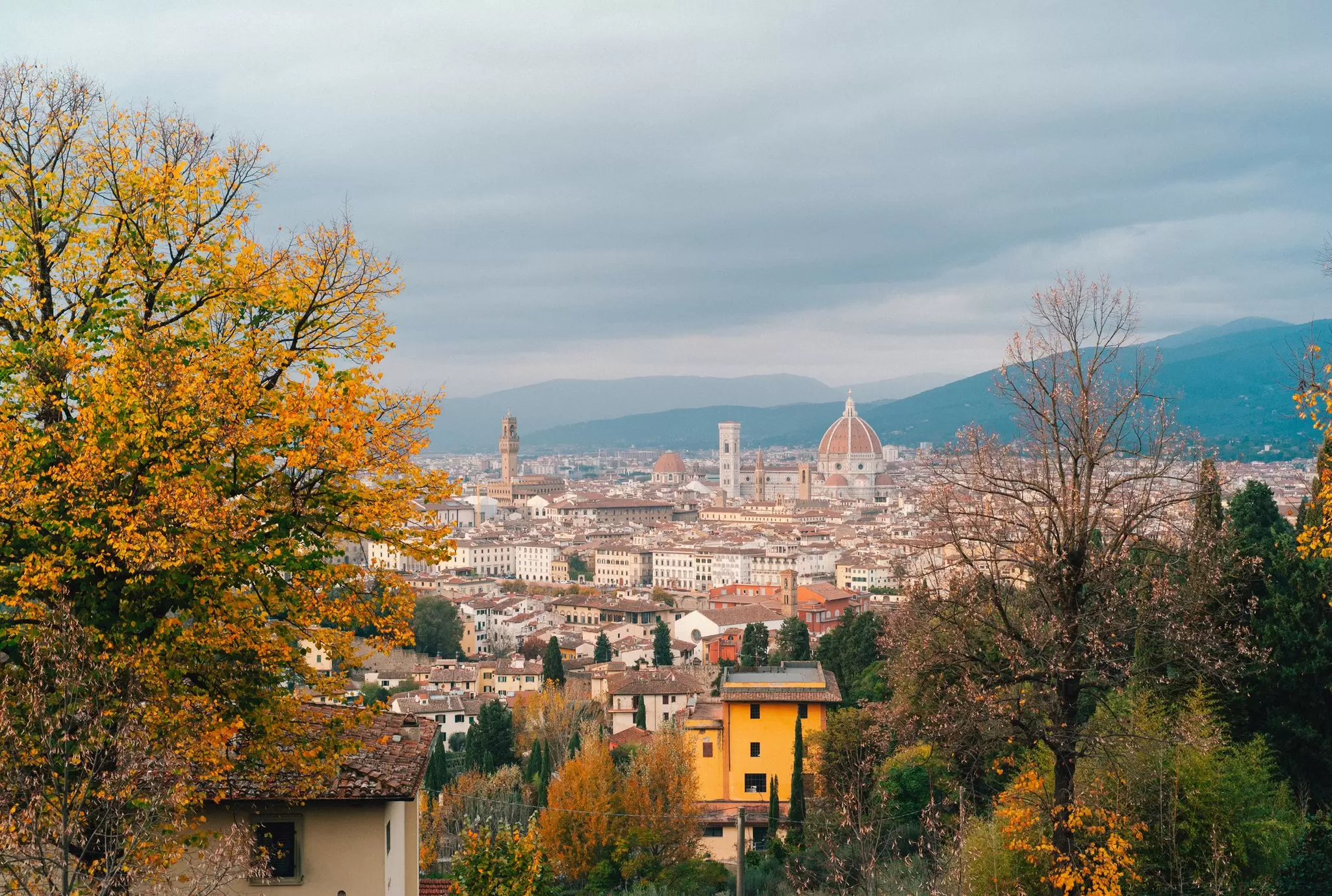 Italy, Tuscany, Florence, skyline in Autumn
2256452186
florence skyline in autumn