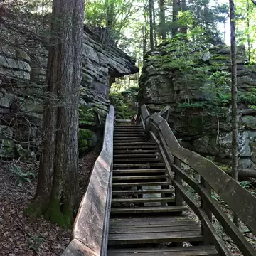 Images of geology, trees, plants, and landscapes in Beartown State Park, West Virginia.