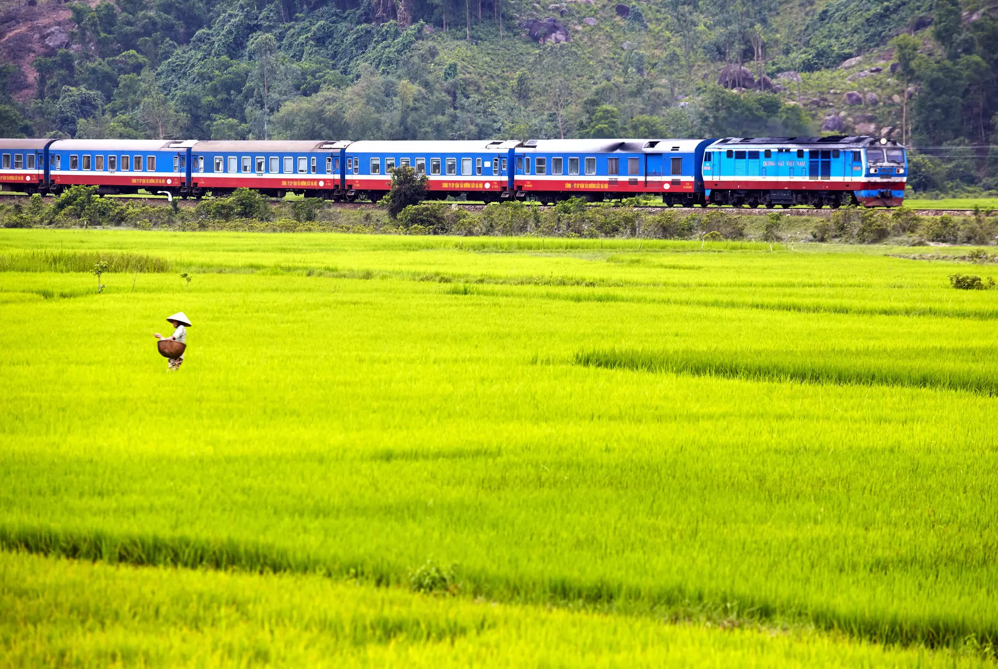 The Reunion Express train passing rice paddies between Hue and Hoi An.