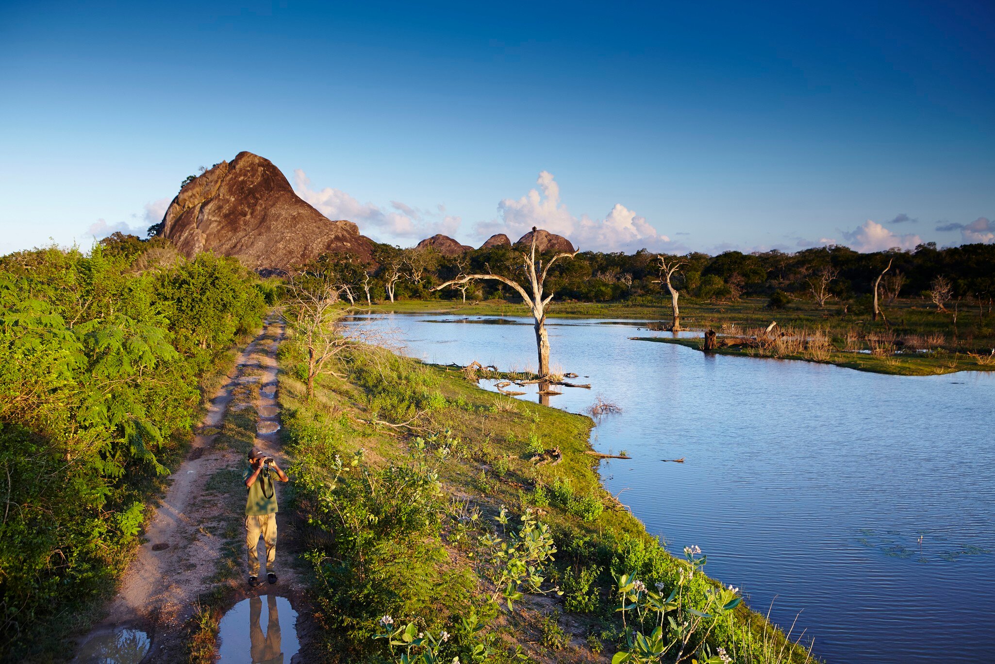 Man near waterhole scouring landscape with binoculars..