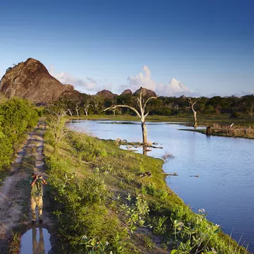 Man near waterhole scouring landscape with binoculars..