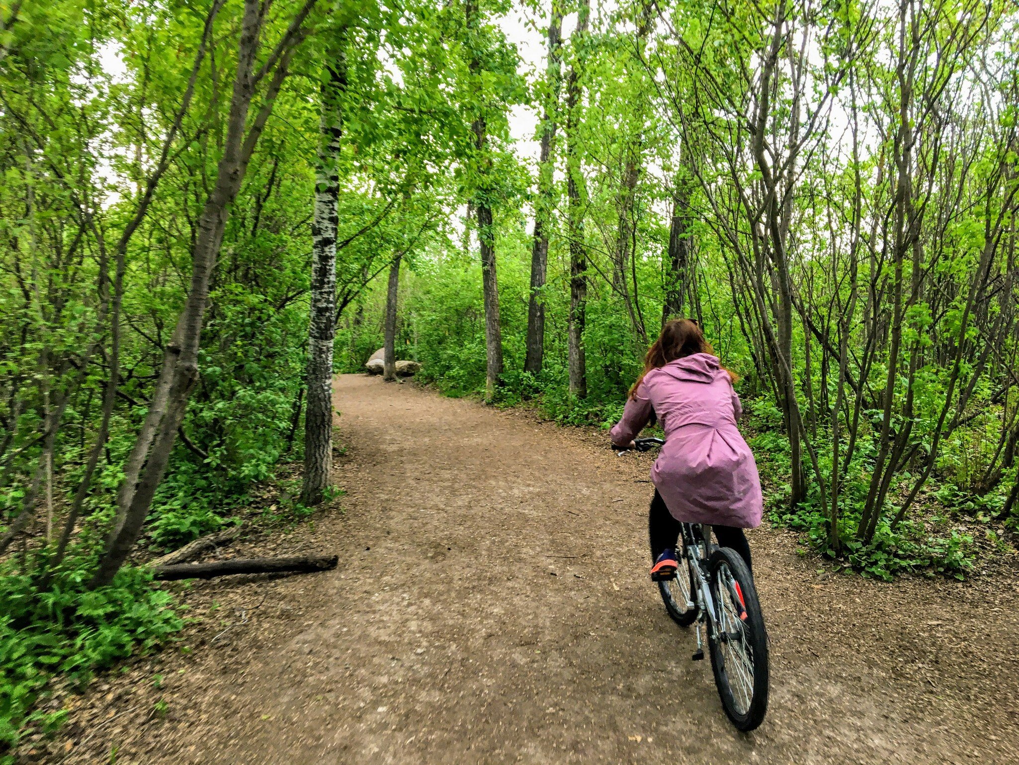 A photo of a woman enjoying a nice bike ride through the forest on a beautiful spring evening in the river valley of Edmonton, Alberta, Canada.