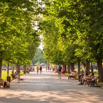 A broad tree-lined park path with people sitting on benches in dappled shade.