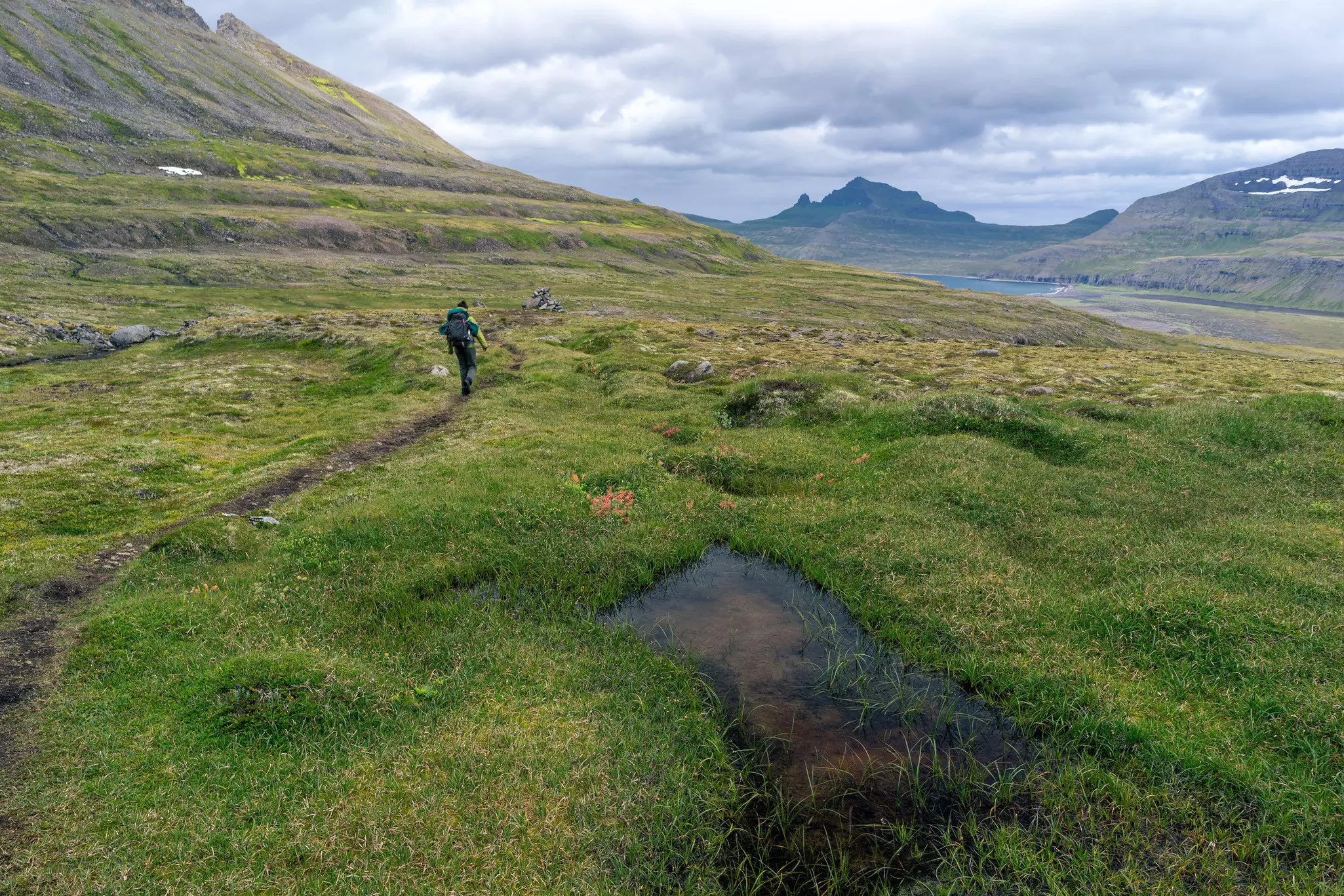 Hornstrandir Nature Reserve. Getty Images/iStockphoto