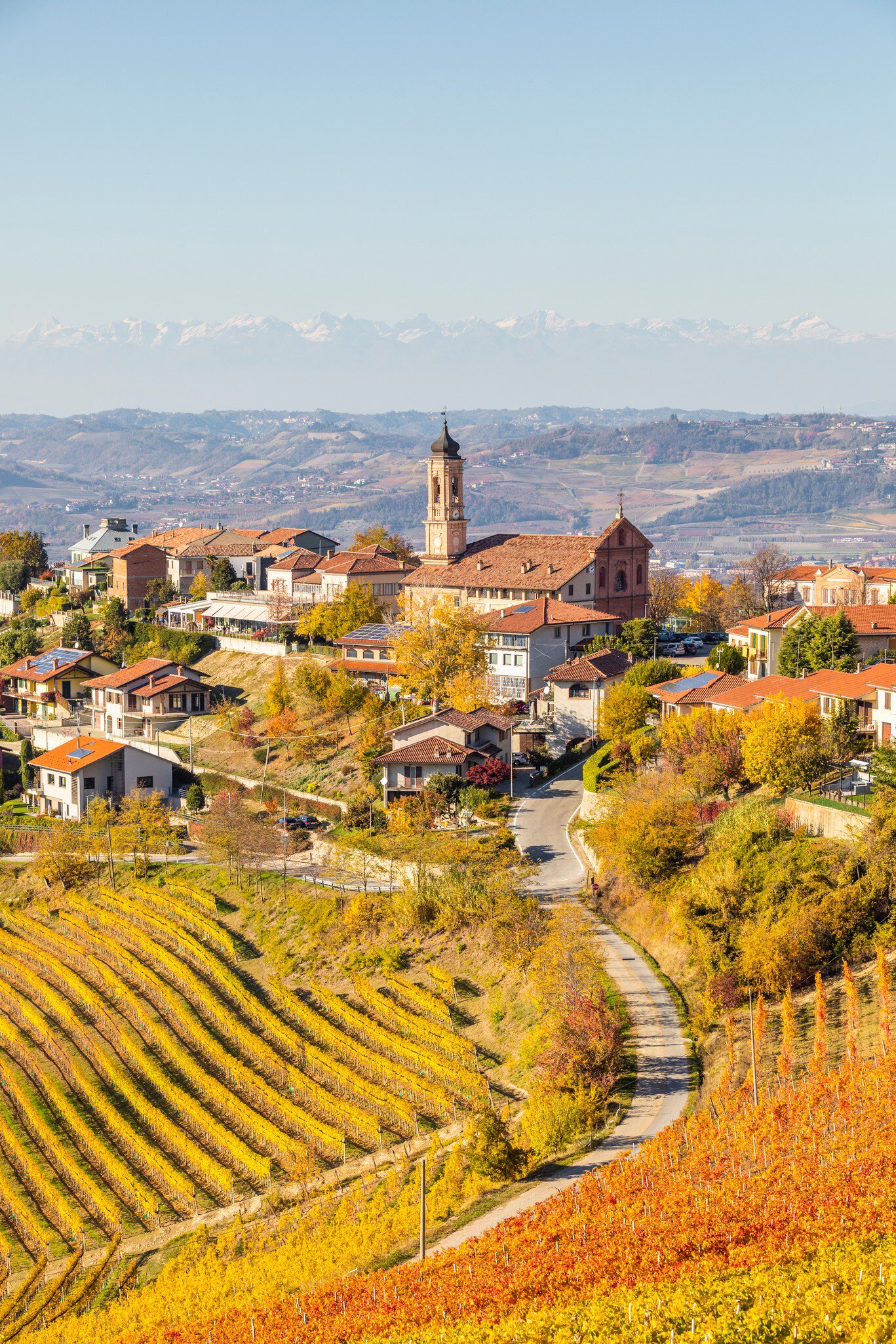 Yellow and orange vineyard rows below a hillside village and church tower, with snowy Alps on the horizon in Piedmont.