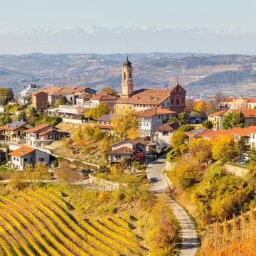 Yellow and orange vineyard rows below a hillside village and church tower, with snowy Alps on the horizon in Piedmont.