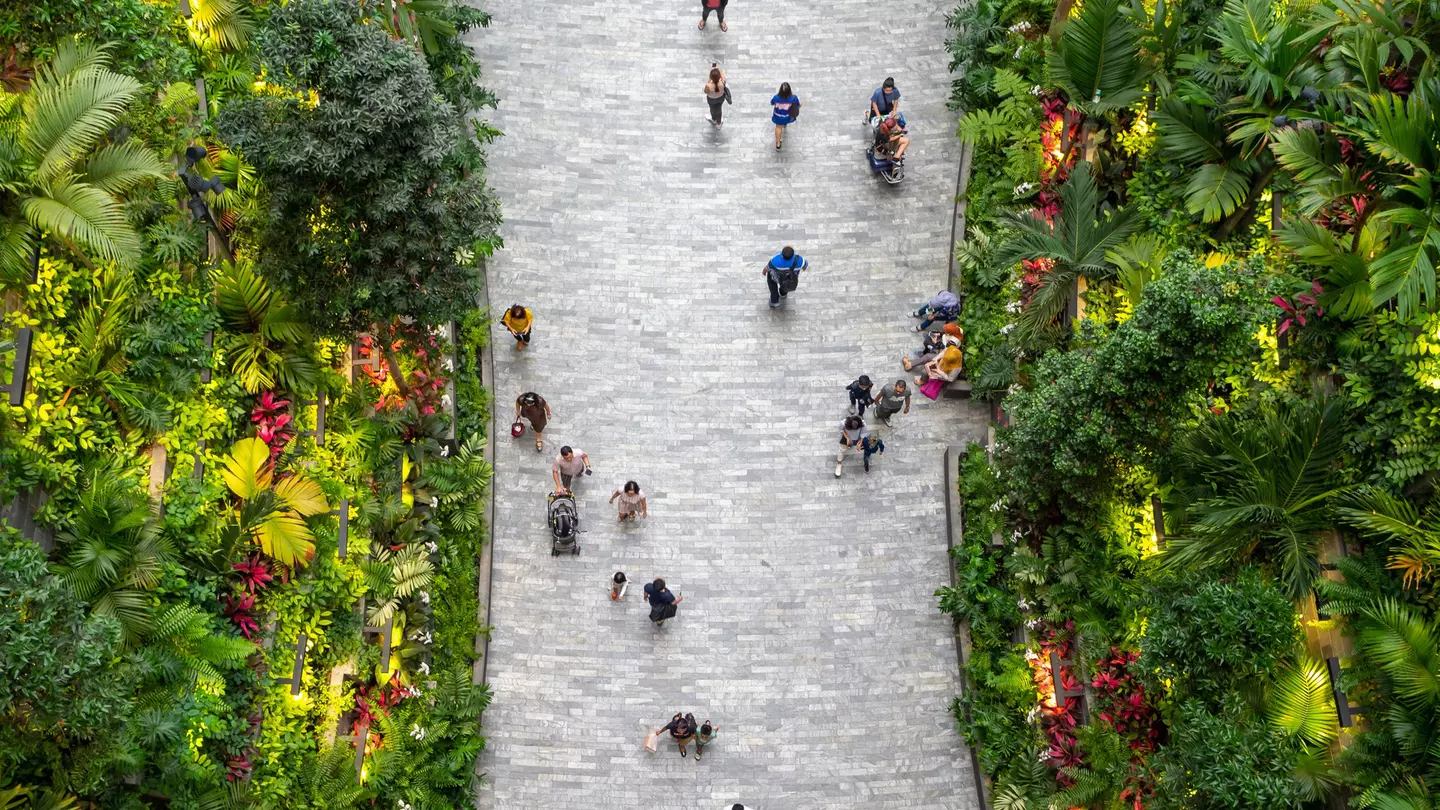 Plan for your trip to Singapore with these things you should know and insider tips © Jakub Zajic / Getty Images
