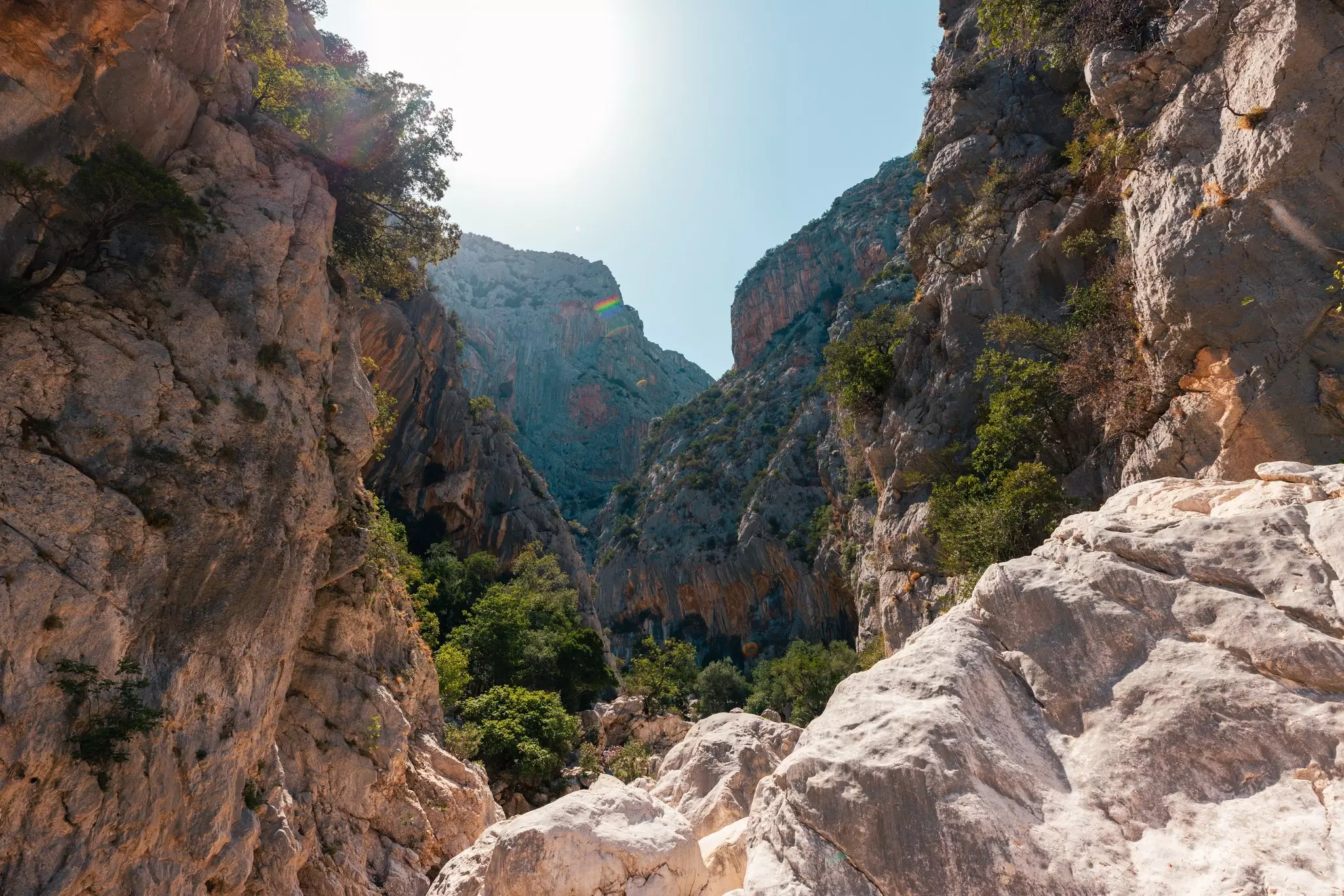 High, rocky walls of a canyon on a sunny day.