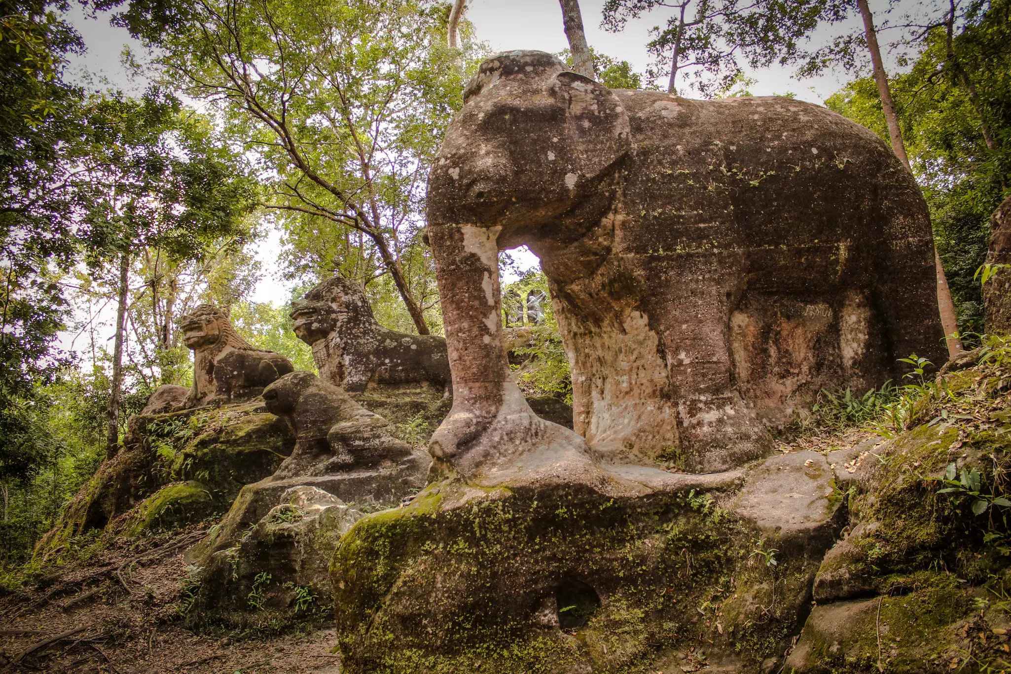 A stone carving of an elephant and other animals on rocks overgrown with moss in a national park in Cambodia.