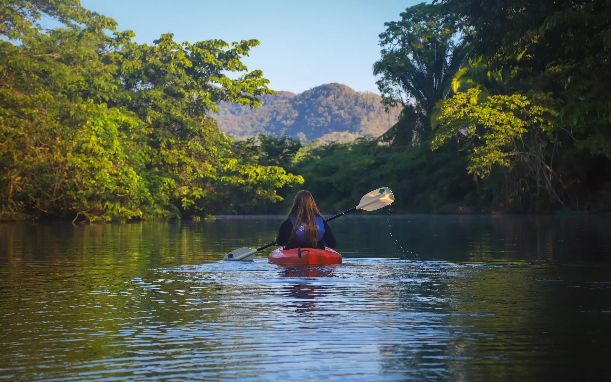 A kayaker paddles on a river surrounded by lush greenery.