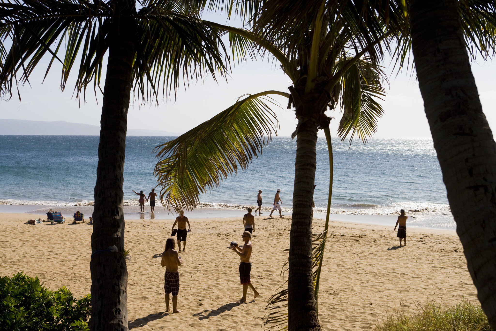 Beachgoers play and stroll on golden sand framed by silhouetted palm trees, with sparkling blue ocean under a bright sky