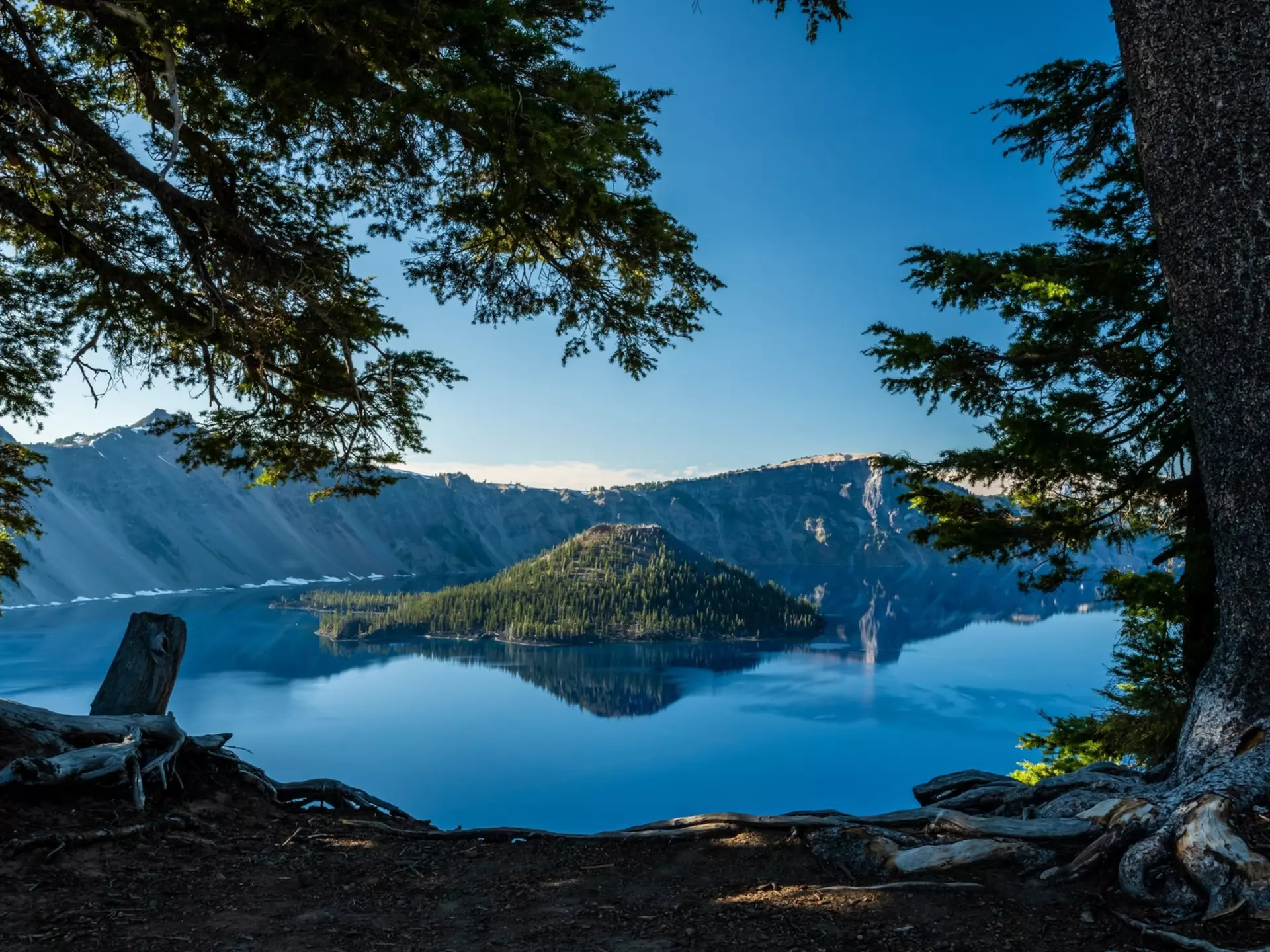A view of Crater Lake through pine trees on the shore. Kelly vanDellen/Shutterstock