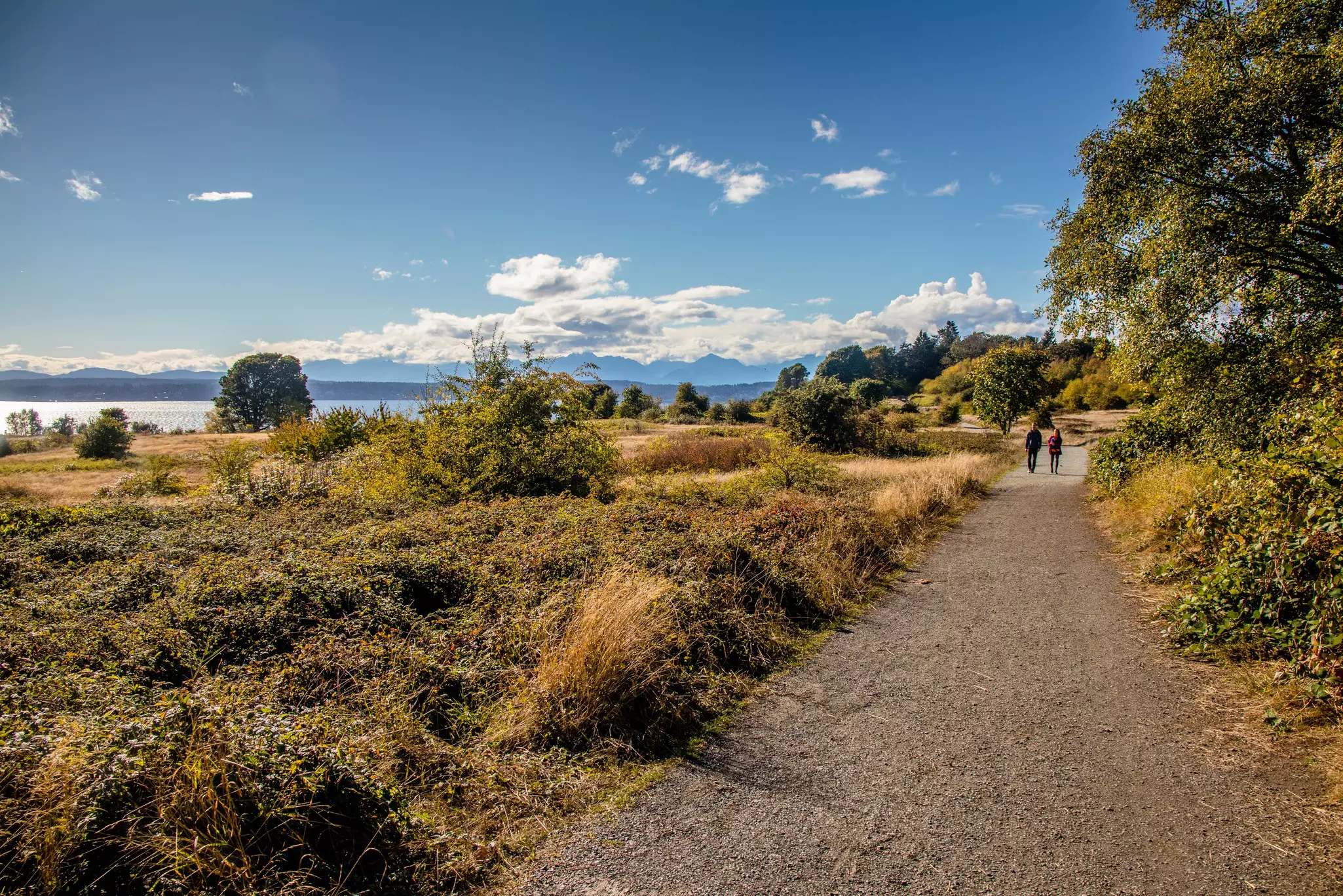 A walking path surrounded by greenery and a coastline in the distance. Two people are on the path.