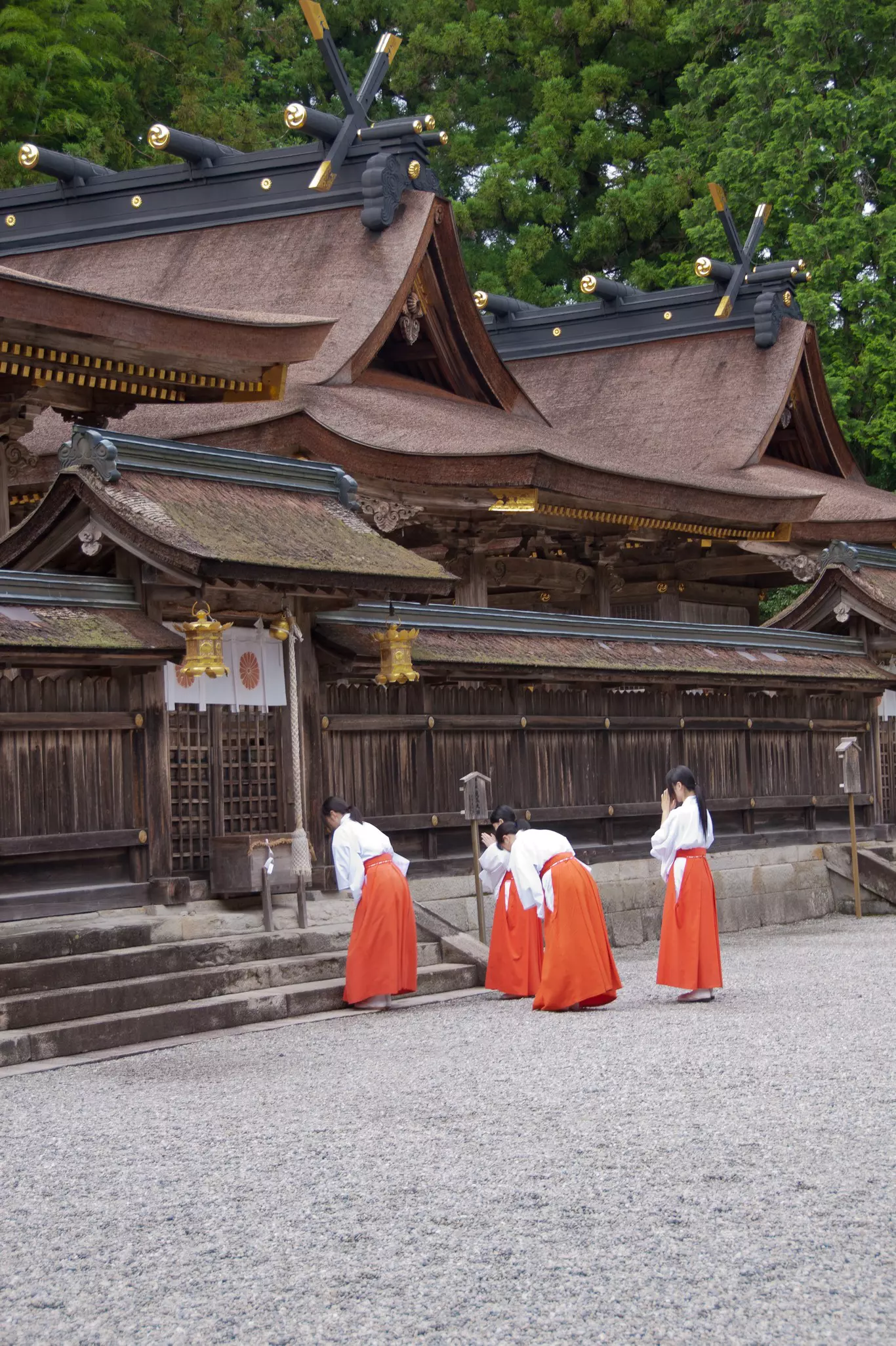 A shimenawa (rice straw rope) wraps around the boulder of Gotobiki-iwa above Kamikura-jinja shrine © Jonathan Stokes/Lonely Planet