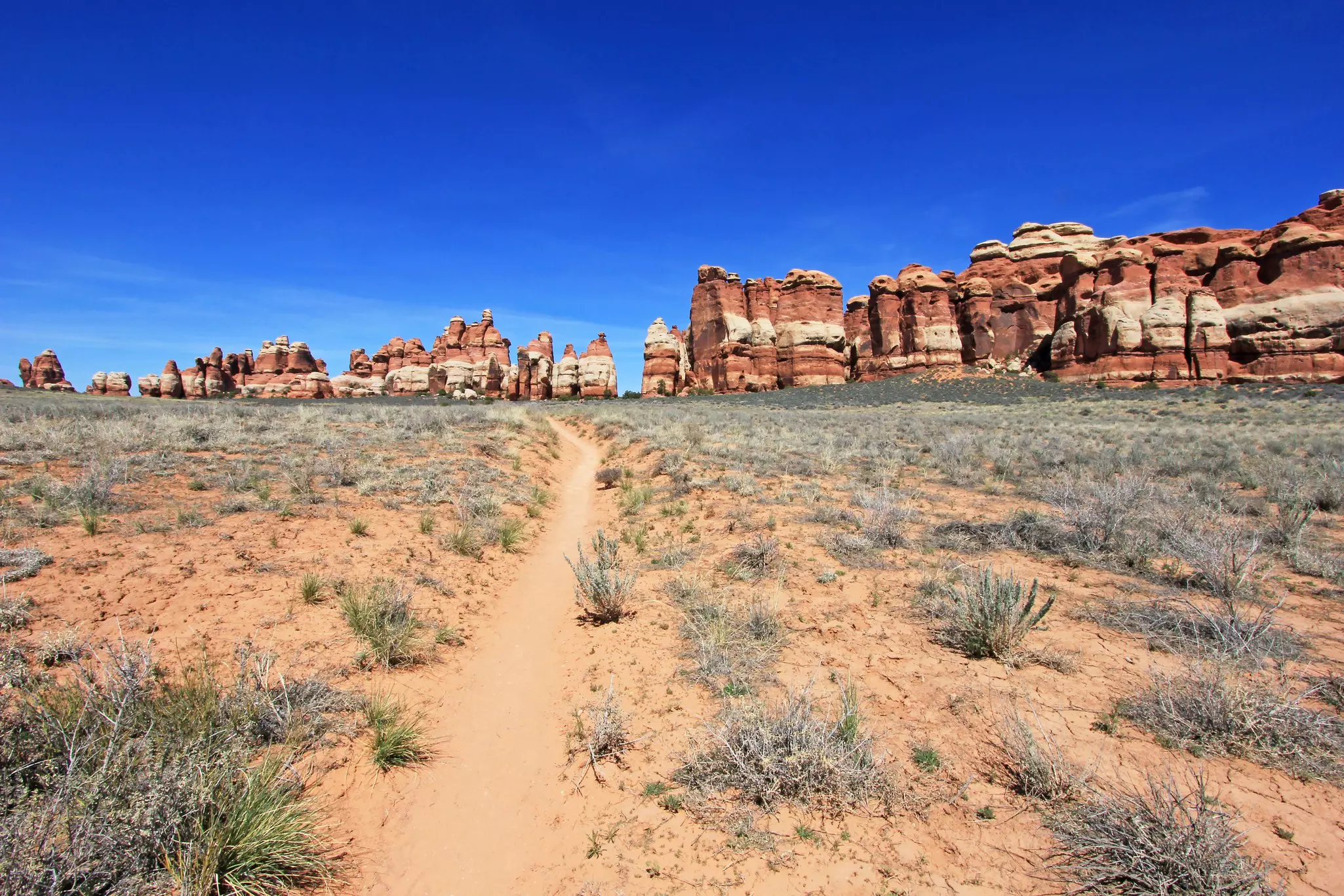 Spires of orange and white sandstone in the distance with sagebrush desert and a narrow trail in the foreground in Canyonlands National Park's Needles District.