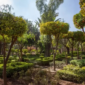 Orange trees and plants in Cyber Park in Marrakesh, Morocco