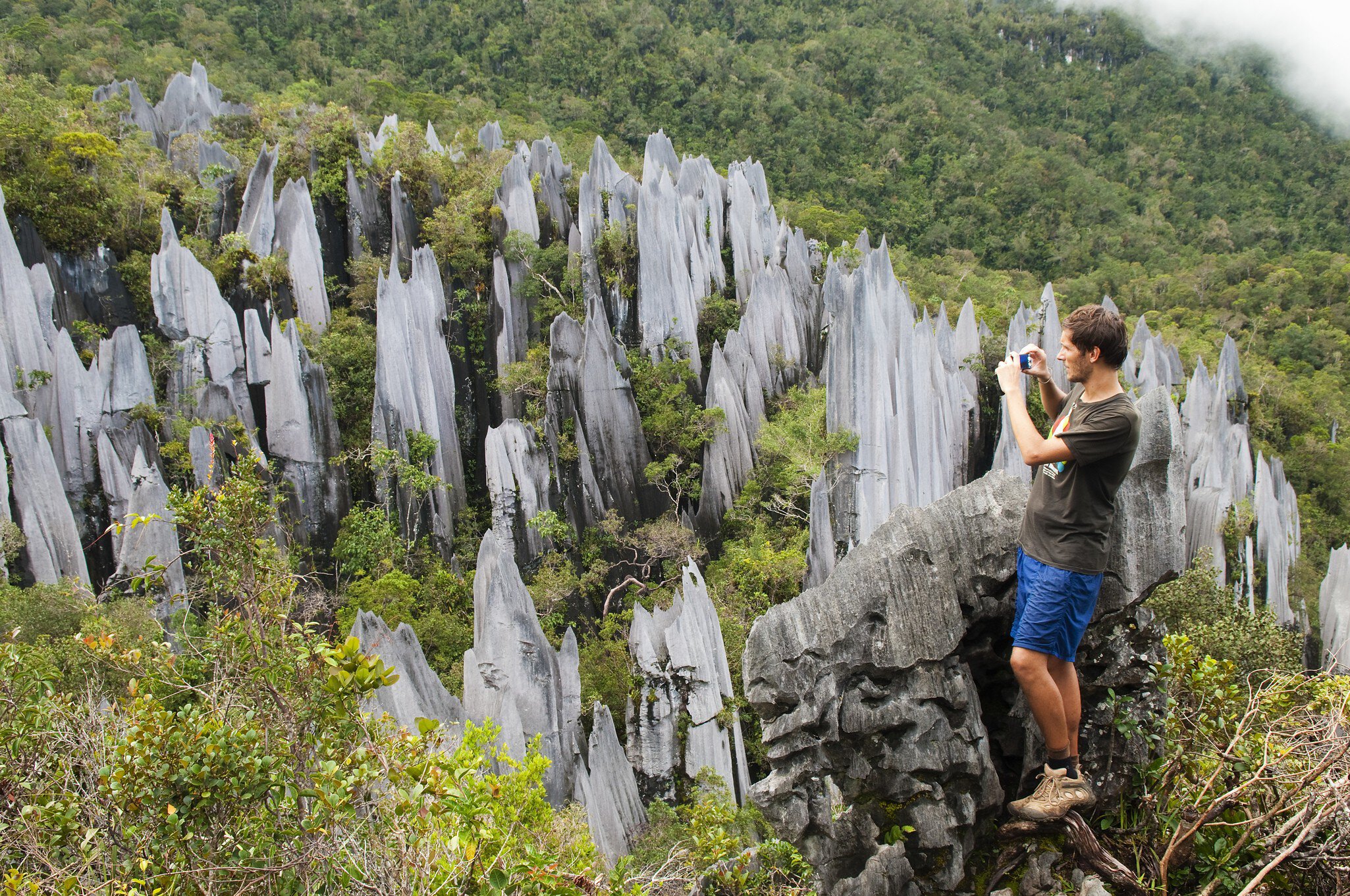 A man on a rock ledge takes a phone photo of jagged grey limestone spires amid rainforest at Gunung Mulu, Sarawak.