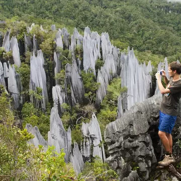 A man on a rock ledge takes a phone photo of jagged grey limestone spires amid rainforest at Gunung Mulu, Sarawak.