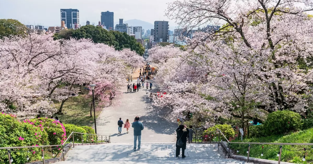 Top things to do in Fukuoka, Japan - Lonely Planet