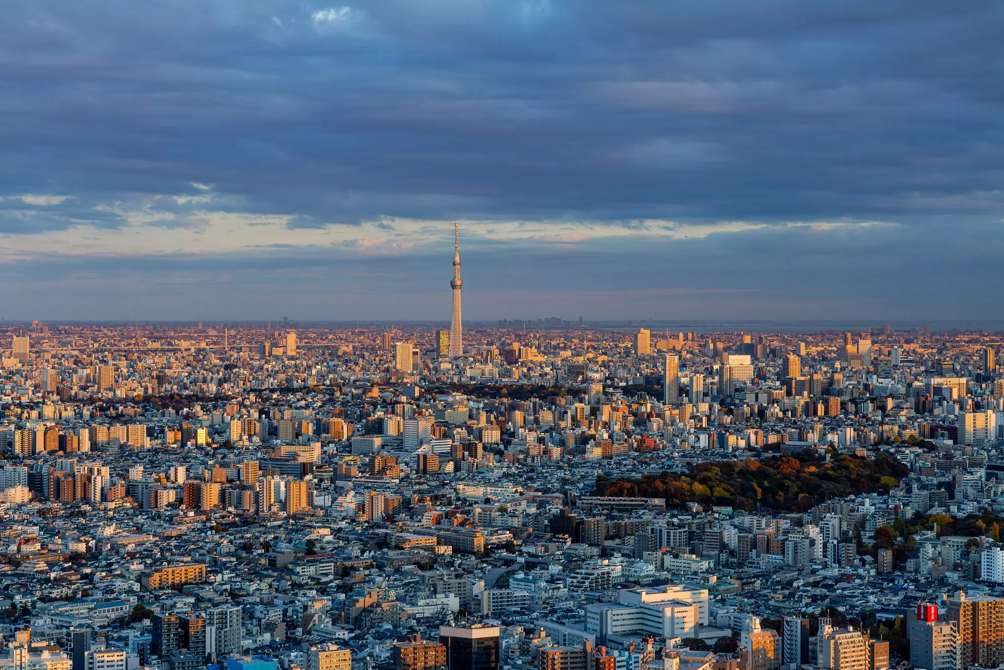 A sweeping view over a cityscape with a distant tower rising above the other tall buildings