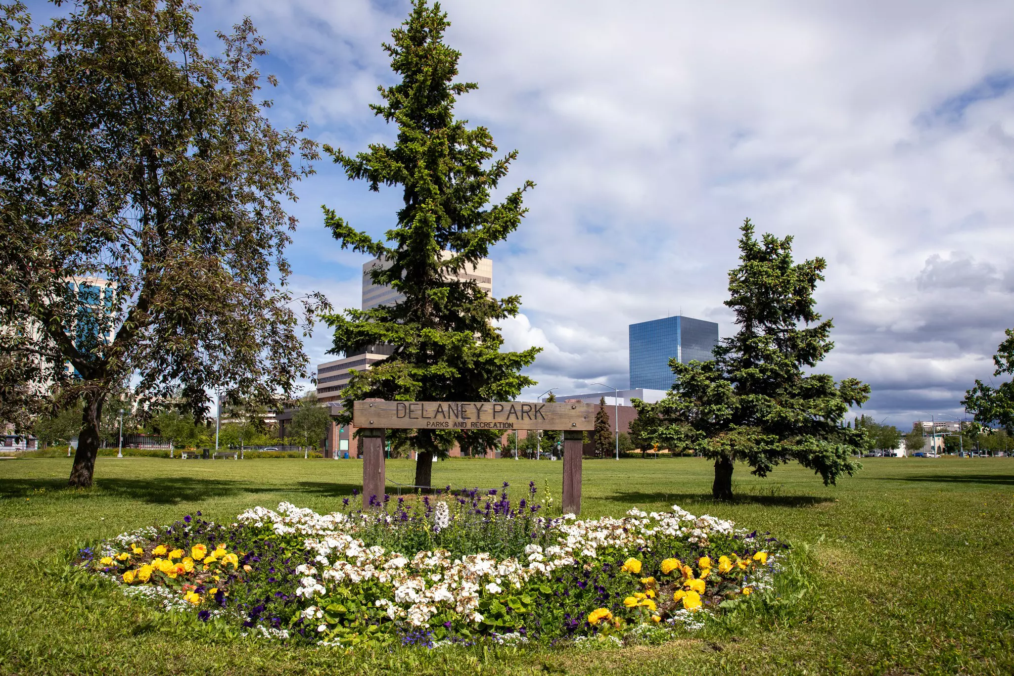 Delaney Park Sign with flower bed and view of the city
