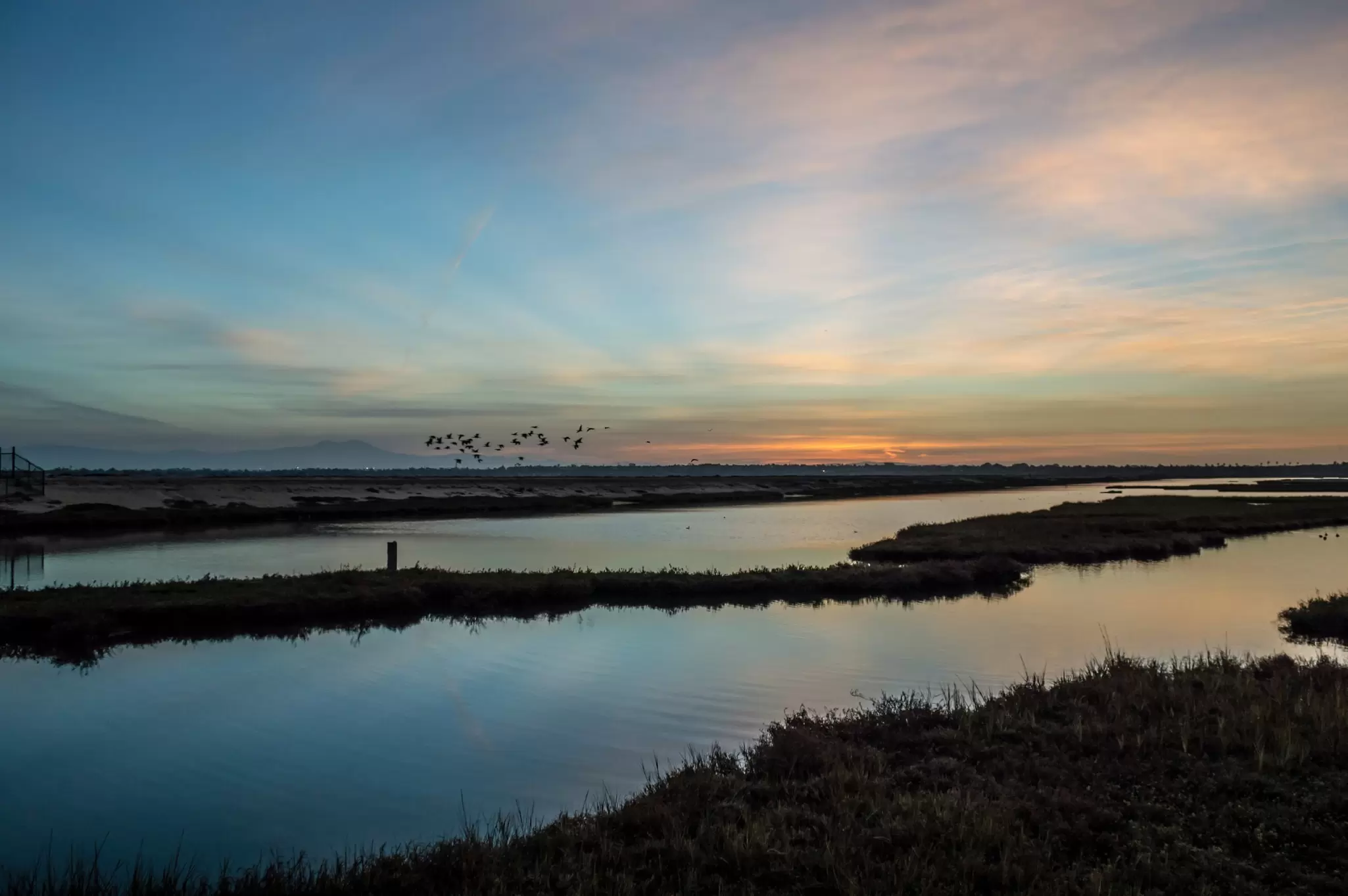 The coastal wetlands at Huntington Beach, California
