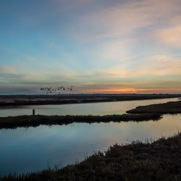 532238625
2015; Beauty In Nature; Bird; Blue; Bolsa Chica; California; Flock Of Birds; Horizontal; Landscape; Nature; No People; Outdoors; Photography; Pink Color; Plant; Sunrise - Dawn; Swamp; Water; Winter;
A flock of birds fly by as sunrise comes to life over the wetlands.