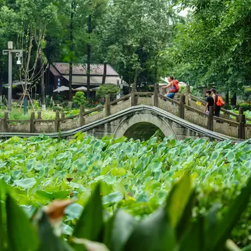 22-07-2025, tourist in People's Park, built in 1911 as Shaocheng Park, Chengdu,  Sichuan, People's Republic of China, License Type: media, Download Time: 2026-08-26T14:46:47.000Z, User: LP_NZhan, Editorial: true, purchase_order: 65050 - Digital Destinations and Articles, job: App Content, client: Lonely Planet App, other: Nadine Zhan