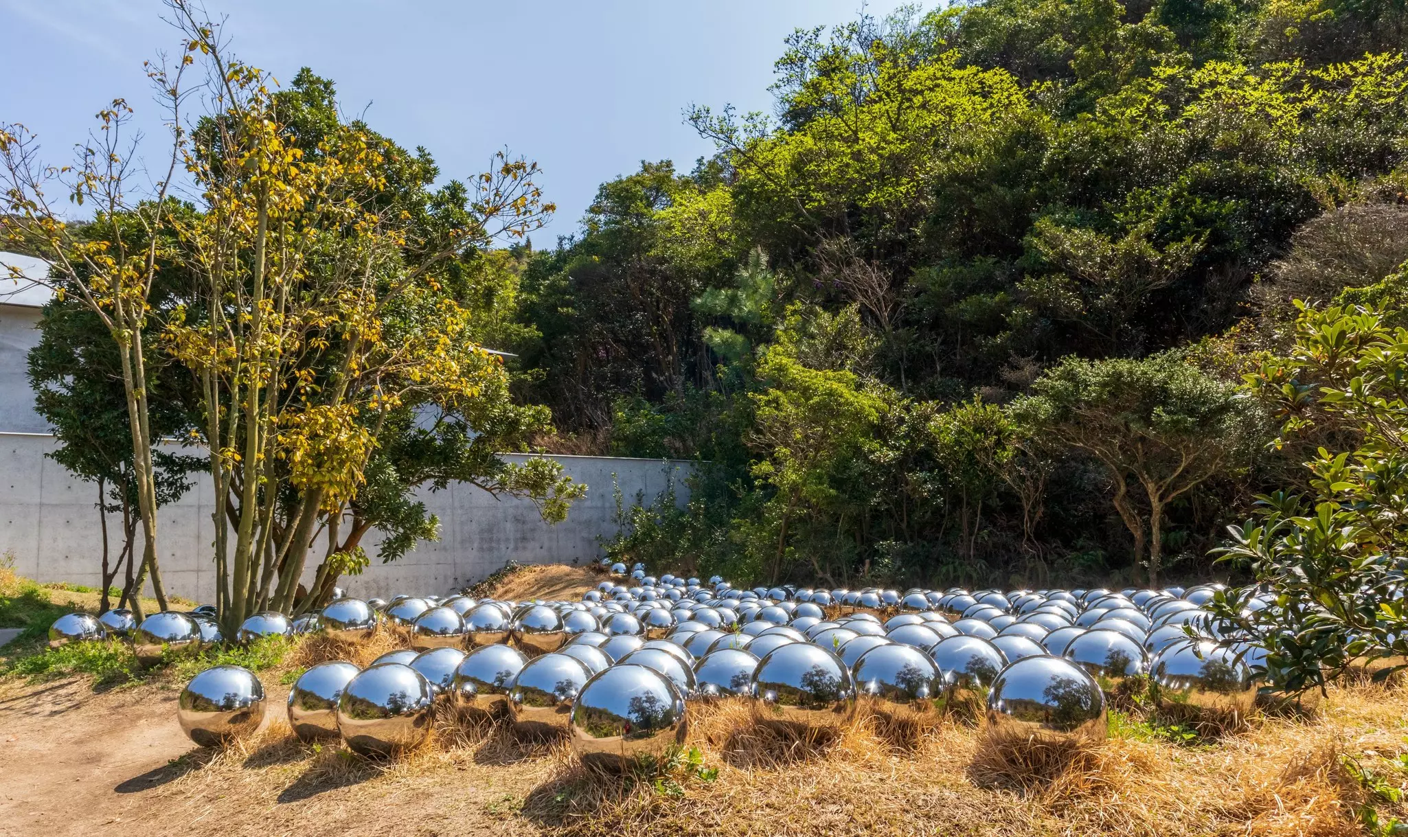 The outdoor sculpture, Narcissus Garden, in the Valley Gallery