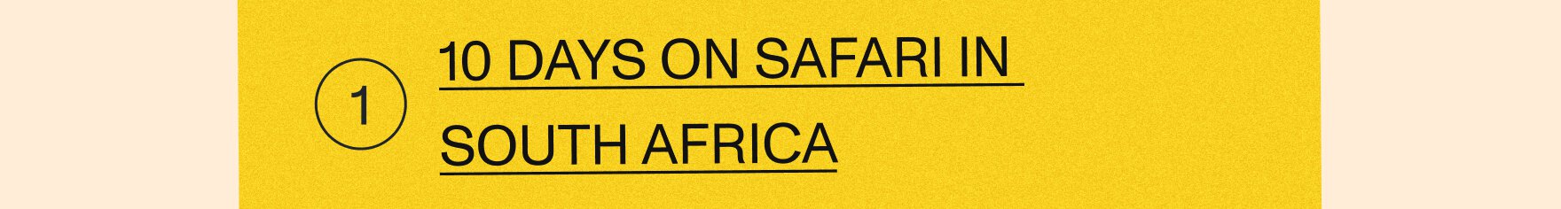 10 days in South Africa