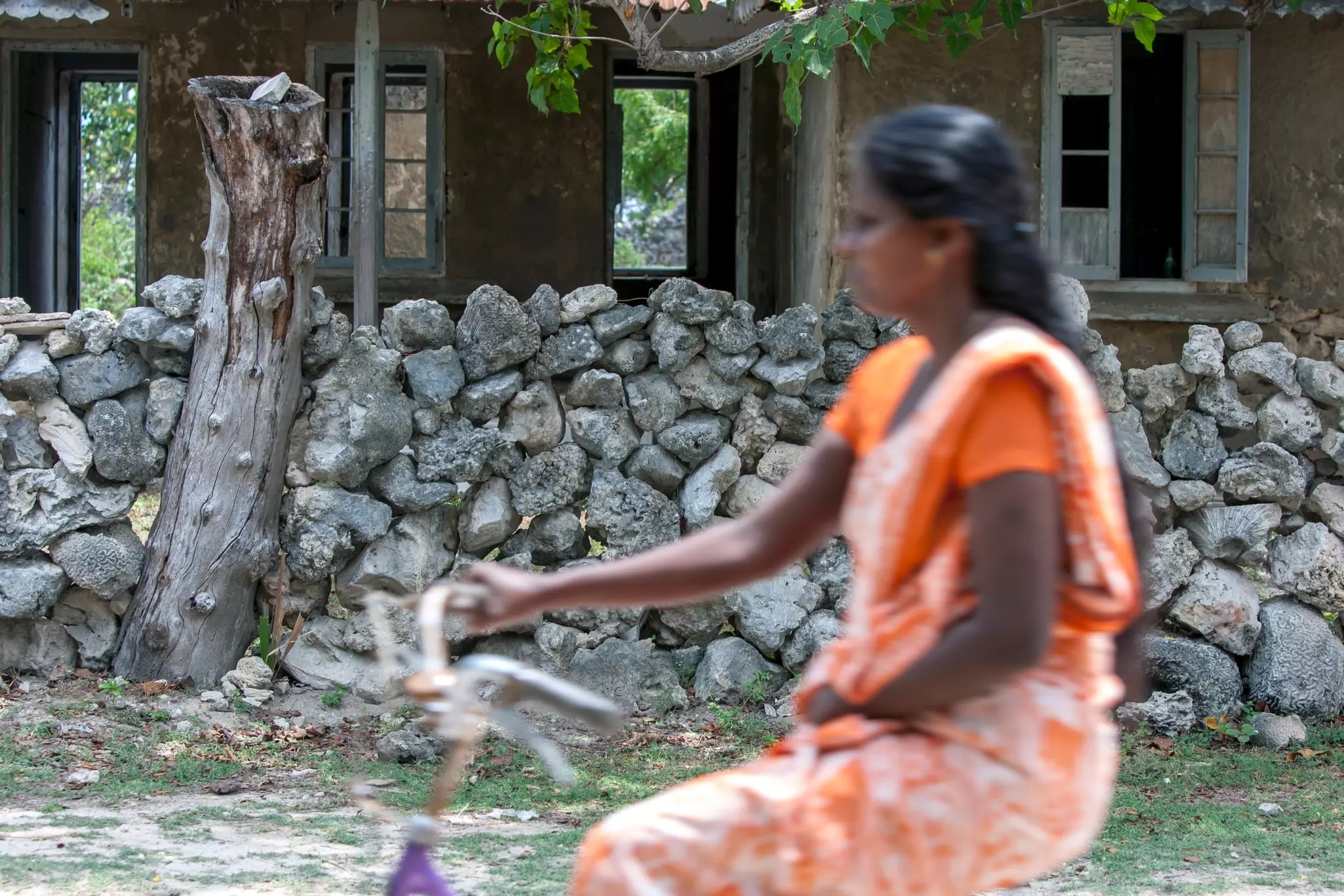 A woman in a light-orange sari rides a bicycle past walls made of blocks of dried coral.