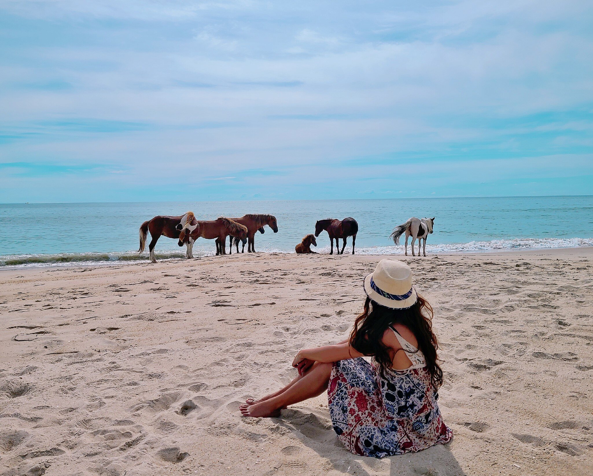 A woman watches wild horses on Assateague Island National Seashore