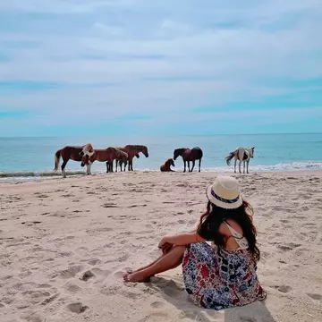 A woman watches wild horses on Assateague Island National Seashore