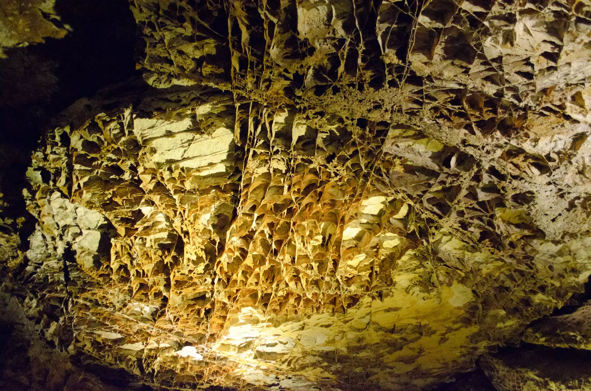 Boxwork rock formation inside a cave in the Wind Cave National Park.
88454419
us, cave, rock, sioux, lakota, people, calcite, boxwork, interior, formation, frostwork, indigenous, wind cave, maze cave, underground, passageways, cave system, hot springs, black hills, south dakota, united states, national park, theodore roosevelt, national park service, wind cave national park