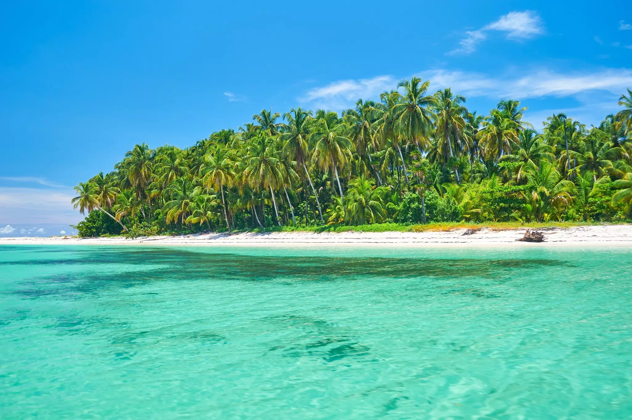The shoreline of a tropical island in the Bocas del Toro archipelago, Panama. 