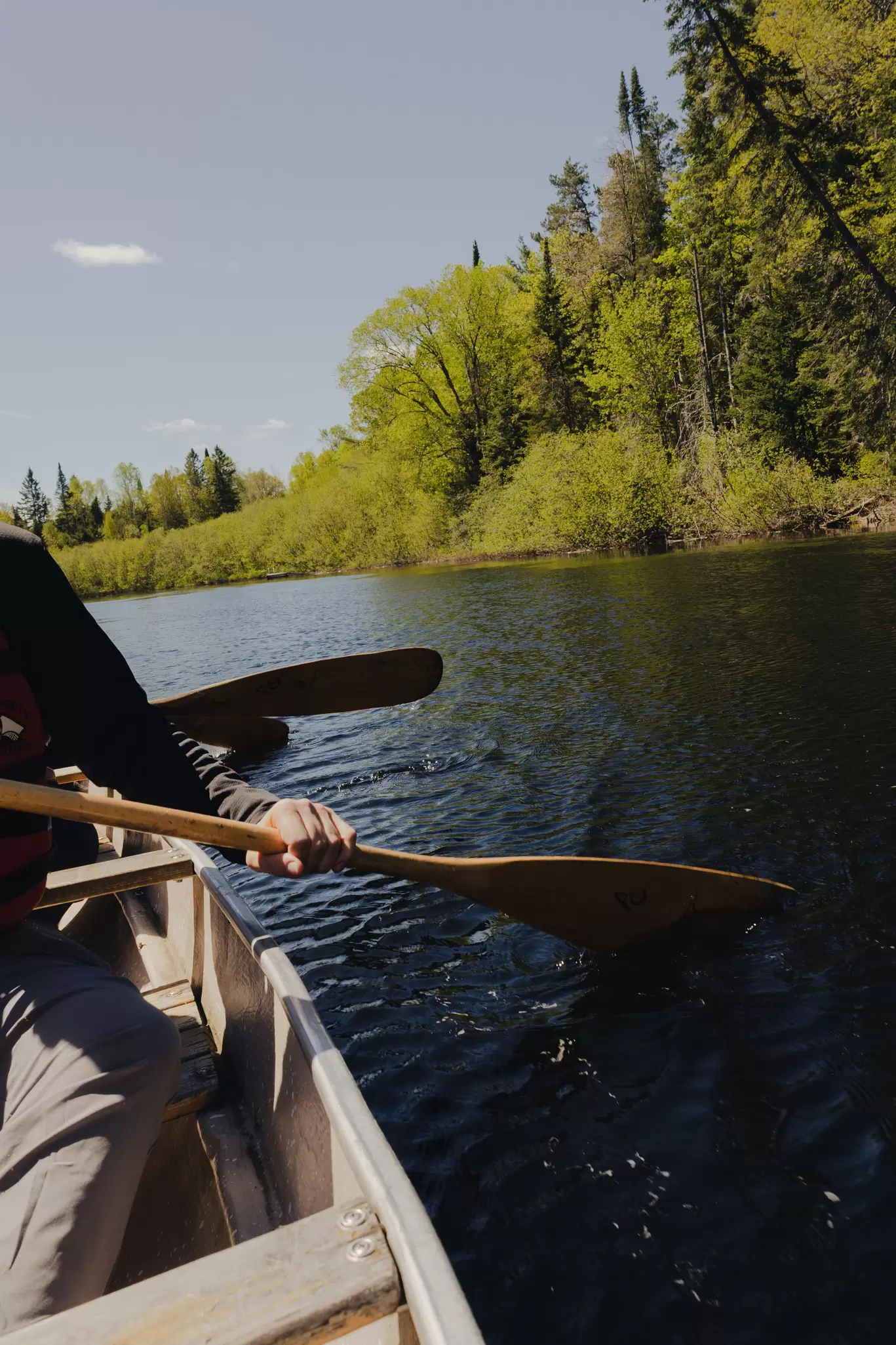 Hands holding paddles as they canoe in a lake.