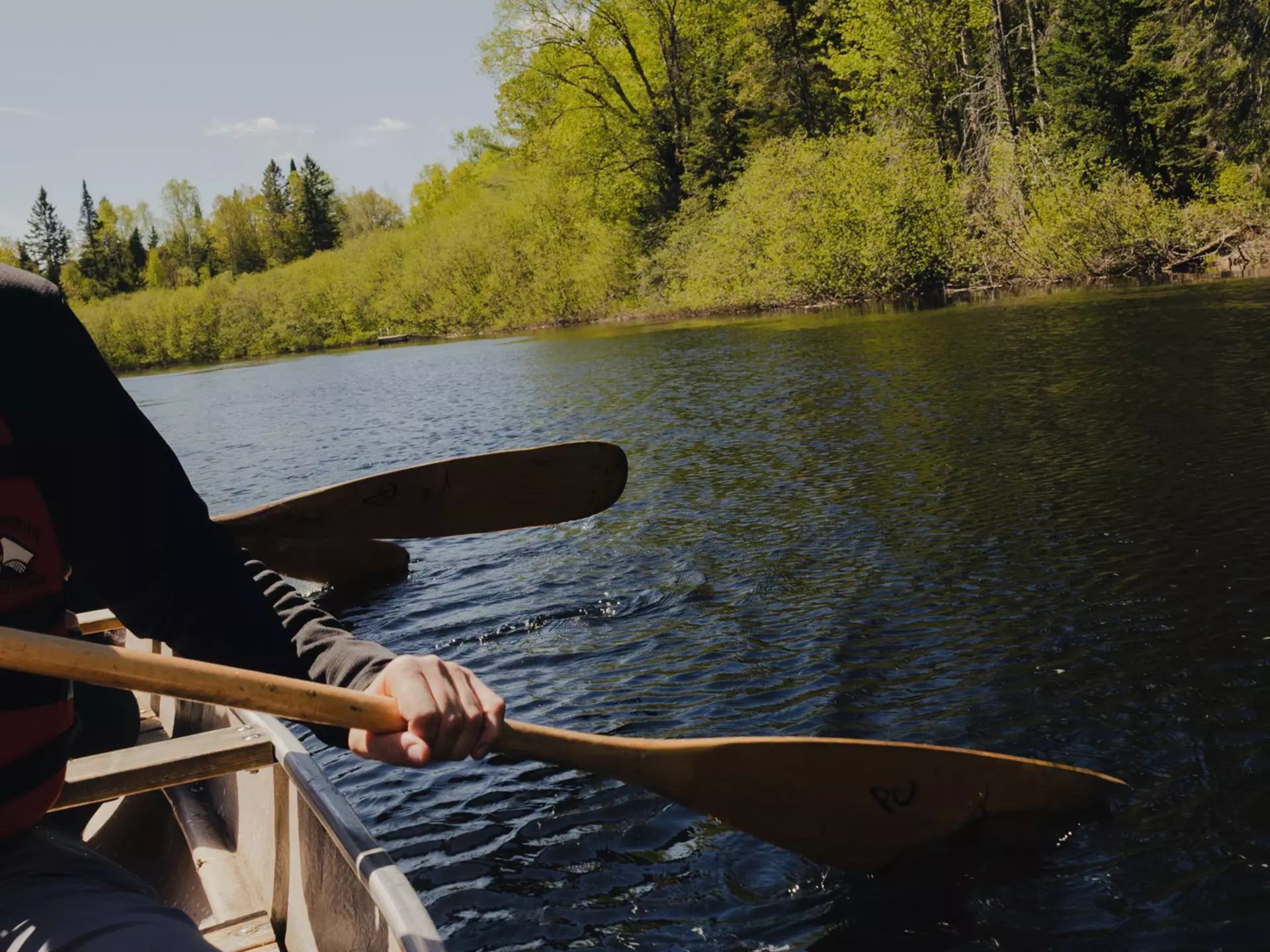 Hands holding paddles as they canoe in a lake.