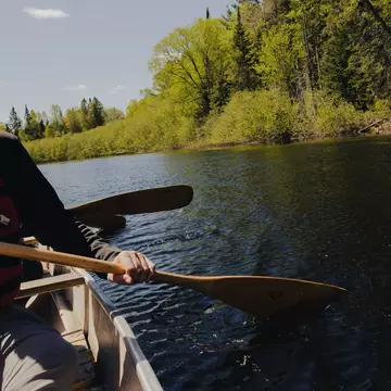 Hands holding paddles as they canoe in a lake.
